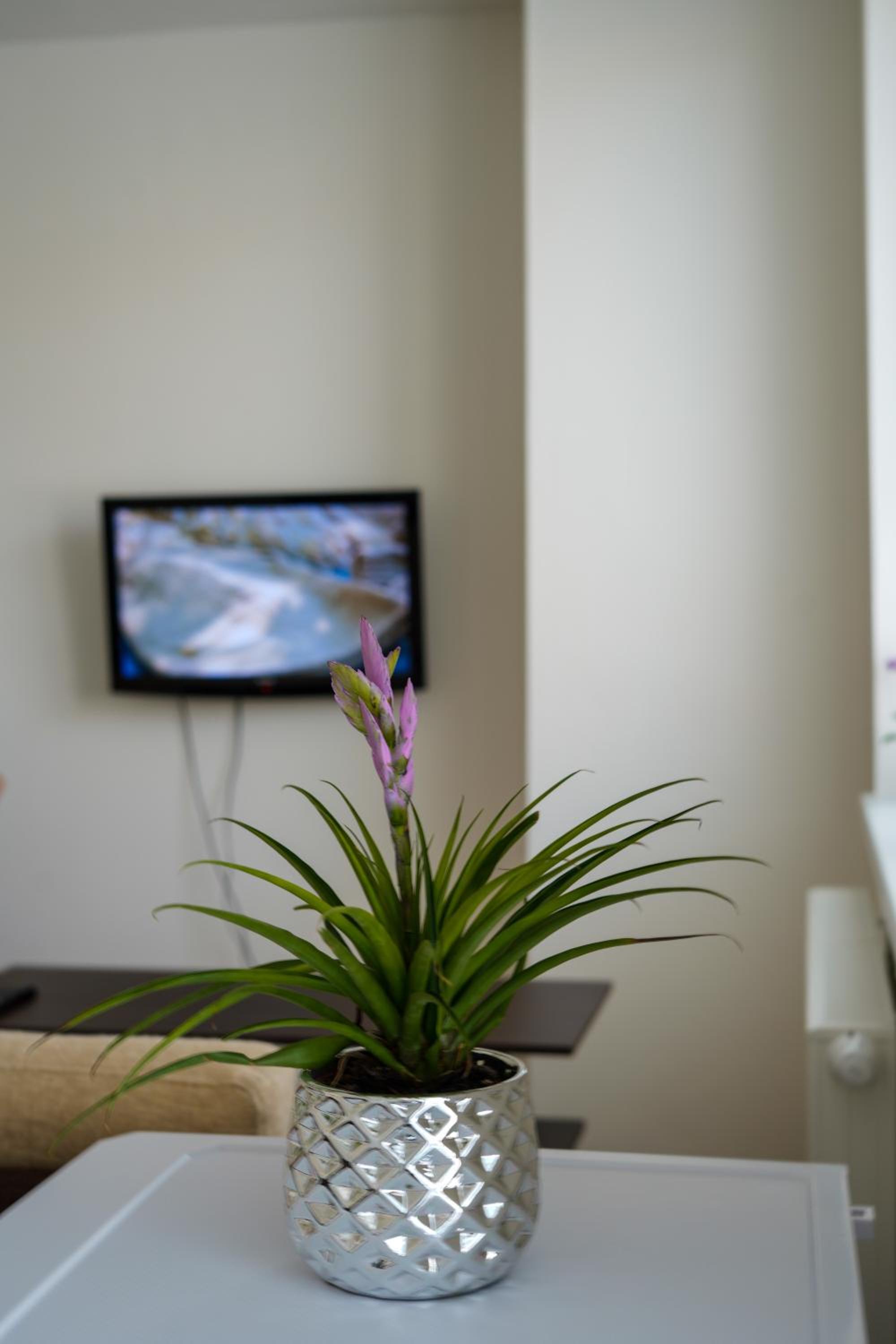 Apartmán Kapitána Nálepku Anna view 5