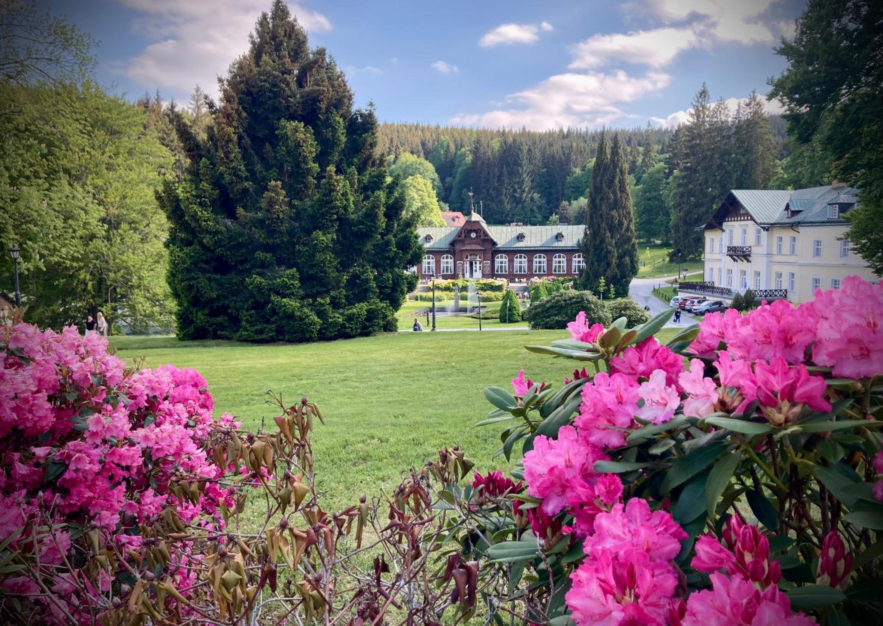 Photo 33