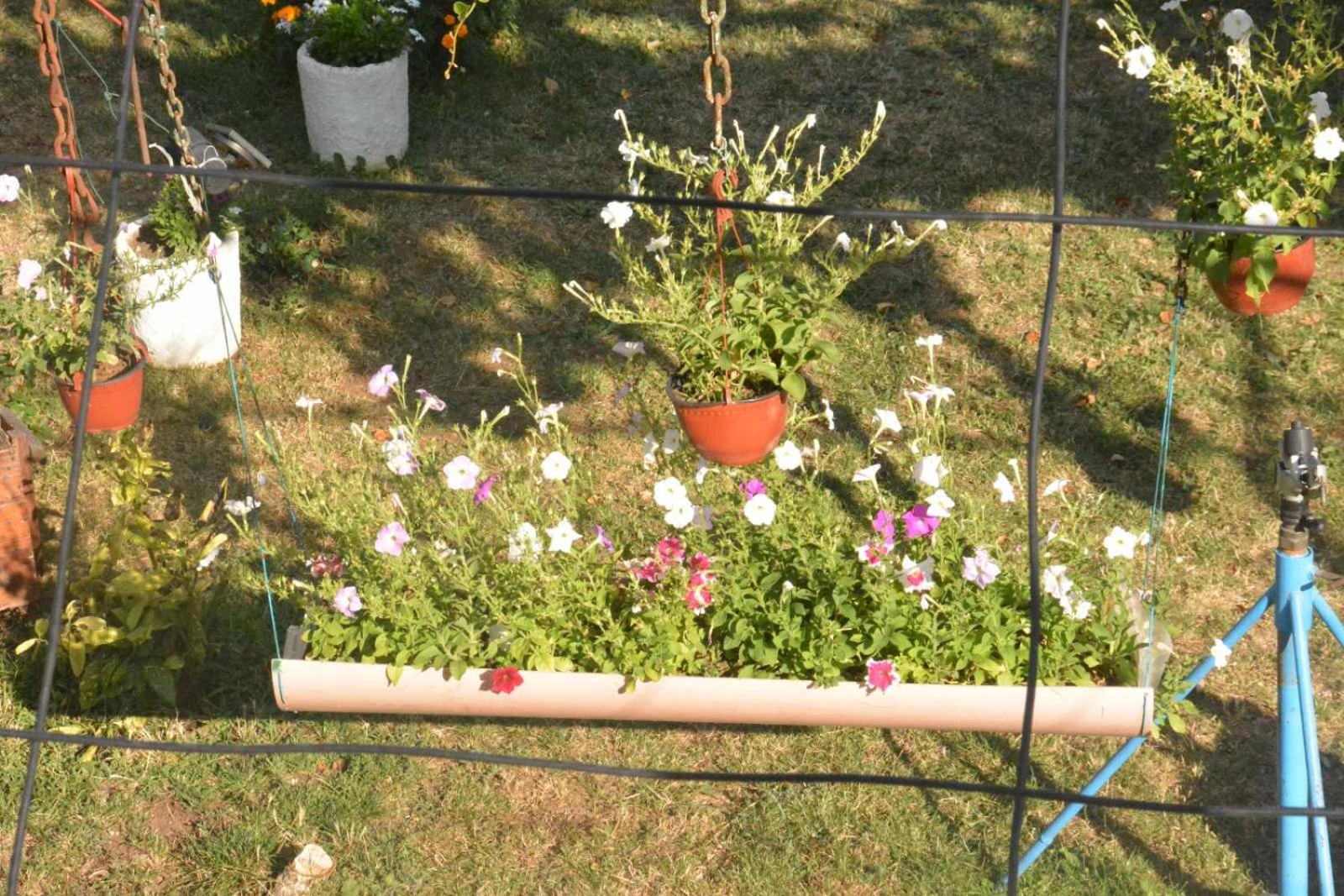Photo 34
