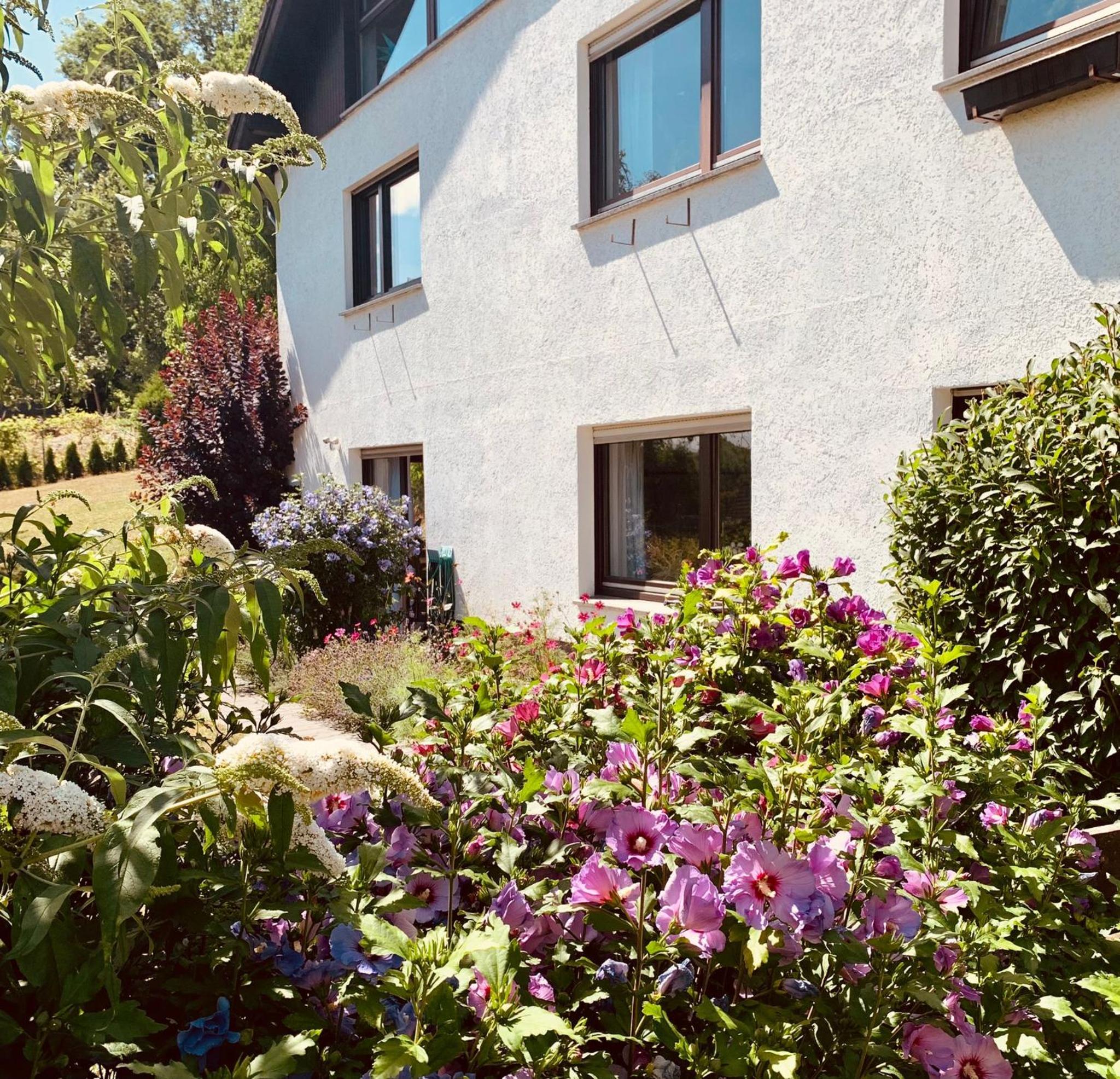 Ferienwohnung „Hygge“ in Liebenburg