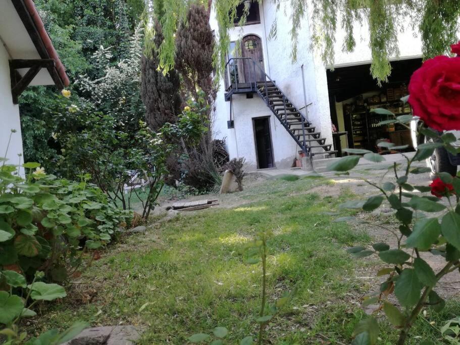 Departamento en el Corazón de Chacras de Coria