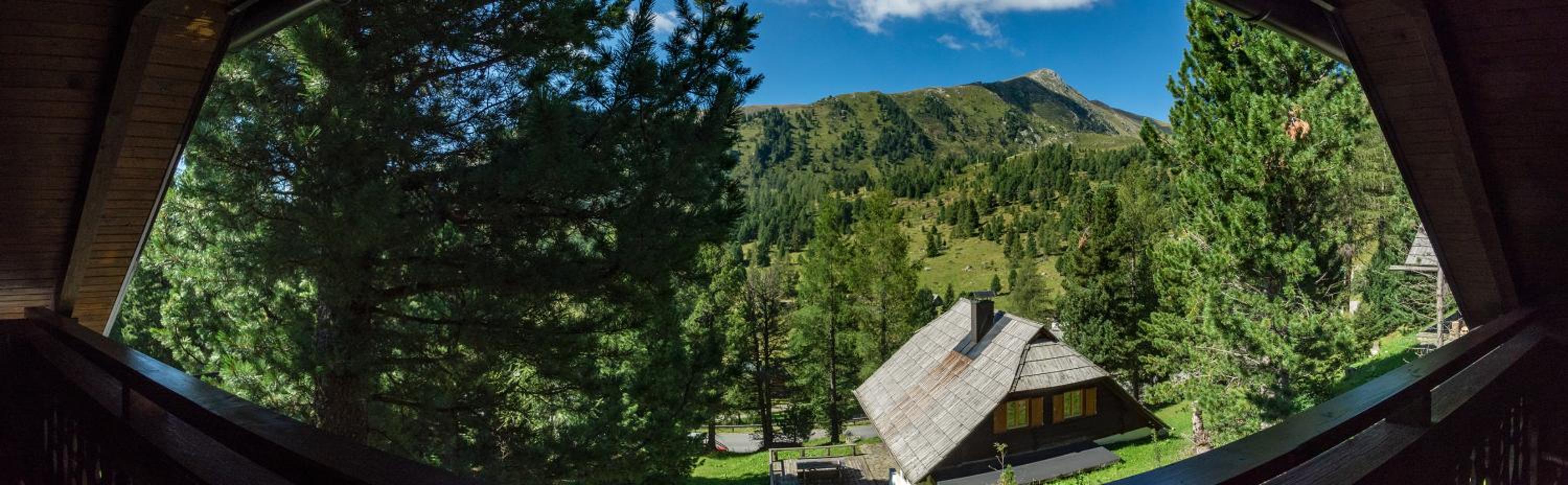 Almhaus Falkertzeit