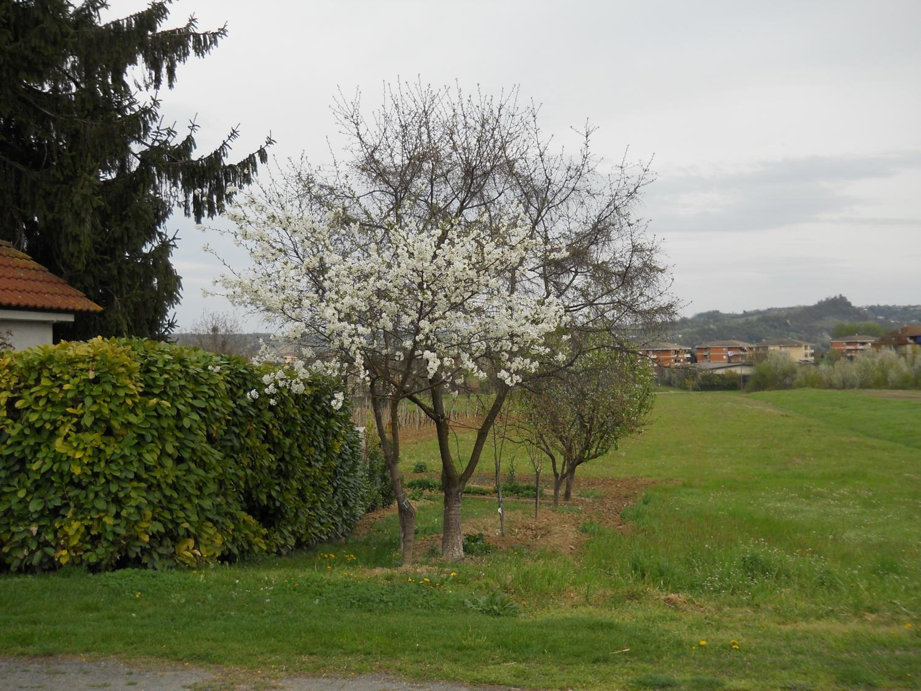 other
