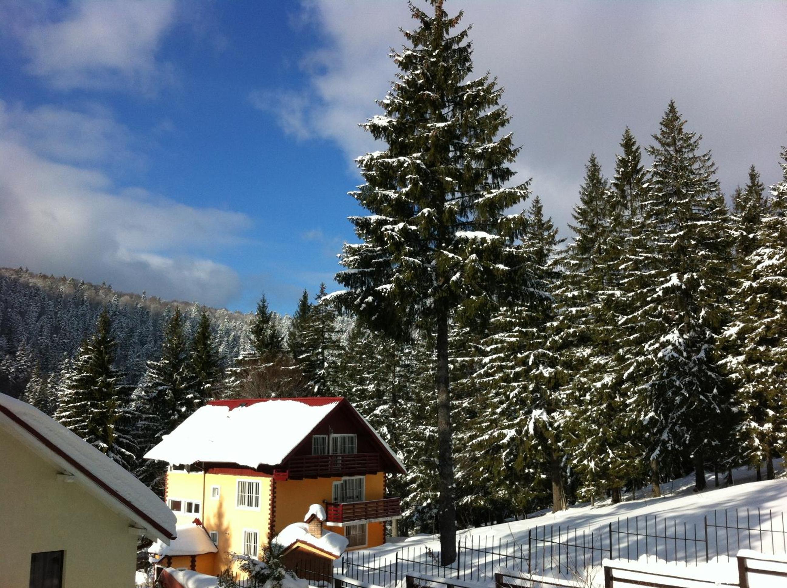 Photo 41