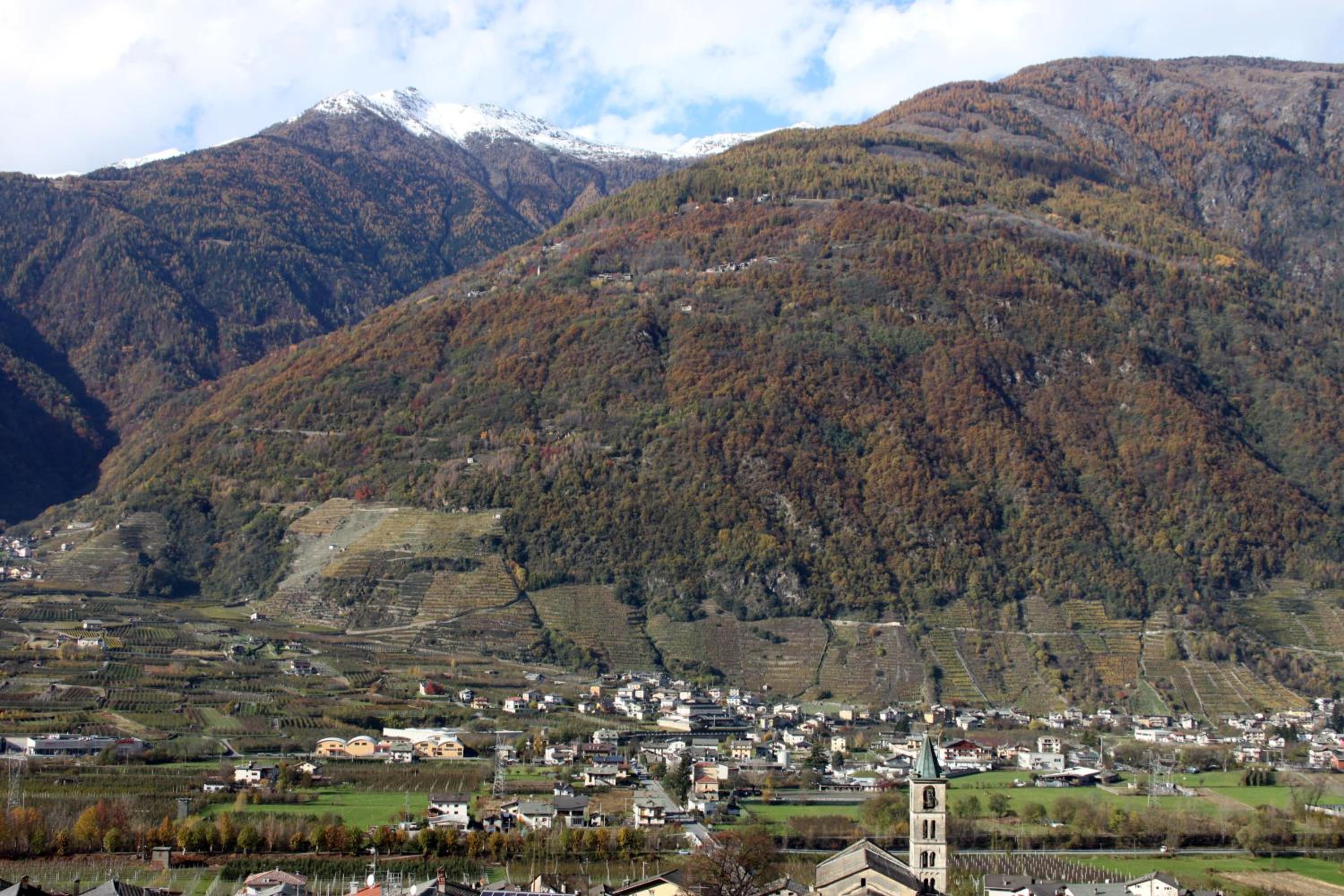 Photo 40
