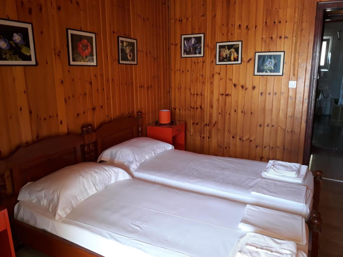 Akis Apartments Kontogialos-Pelekas