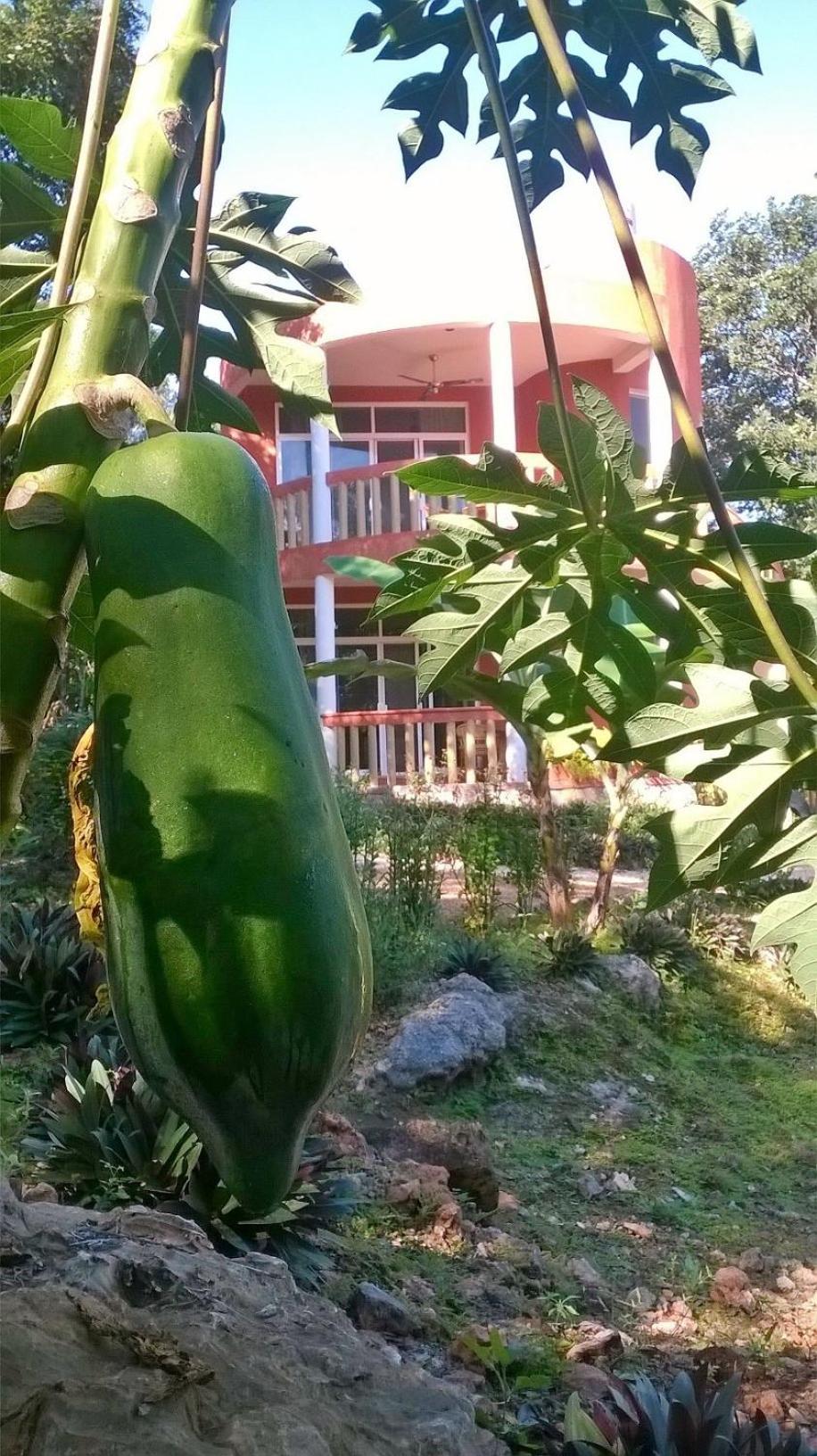 Eco-Hotel Nueva Altia