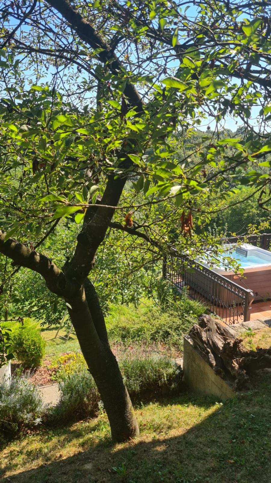 Medimurski Ceker - pool, jacuzzi, sauna