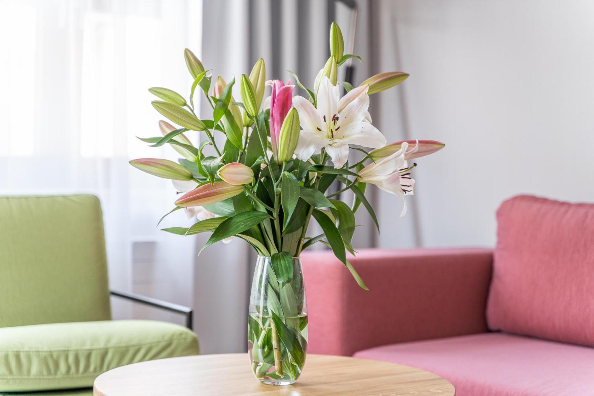 City Apartments - Apartamenty Butikowe