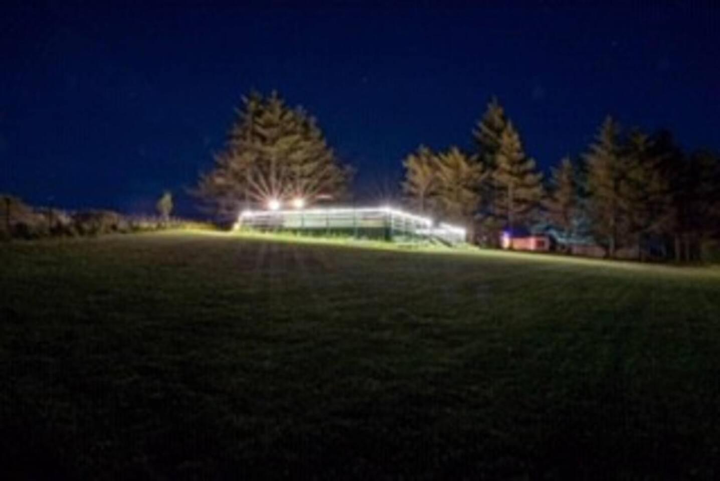 Photo 11