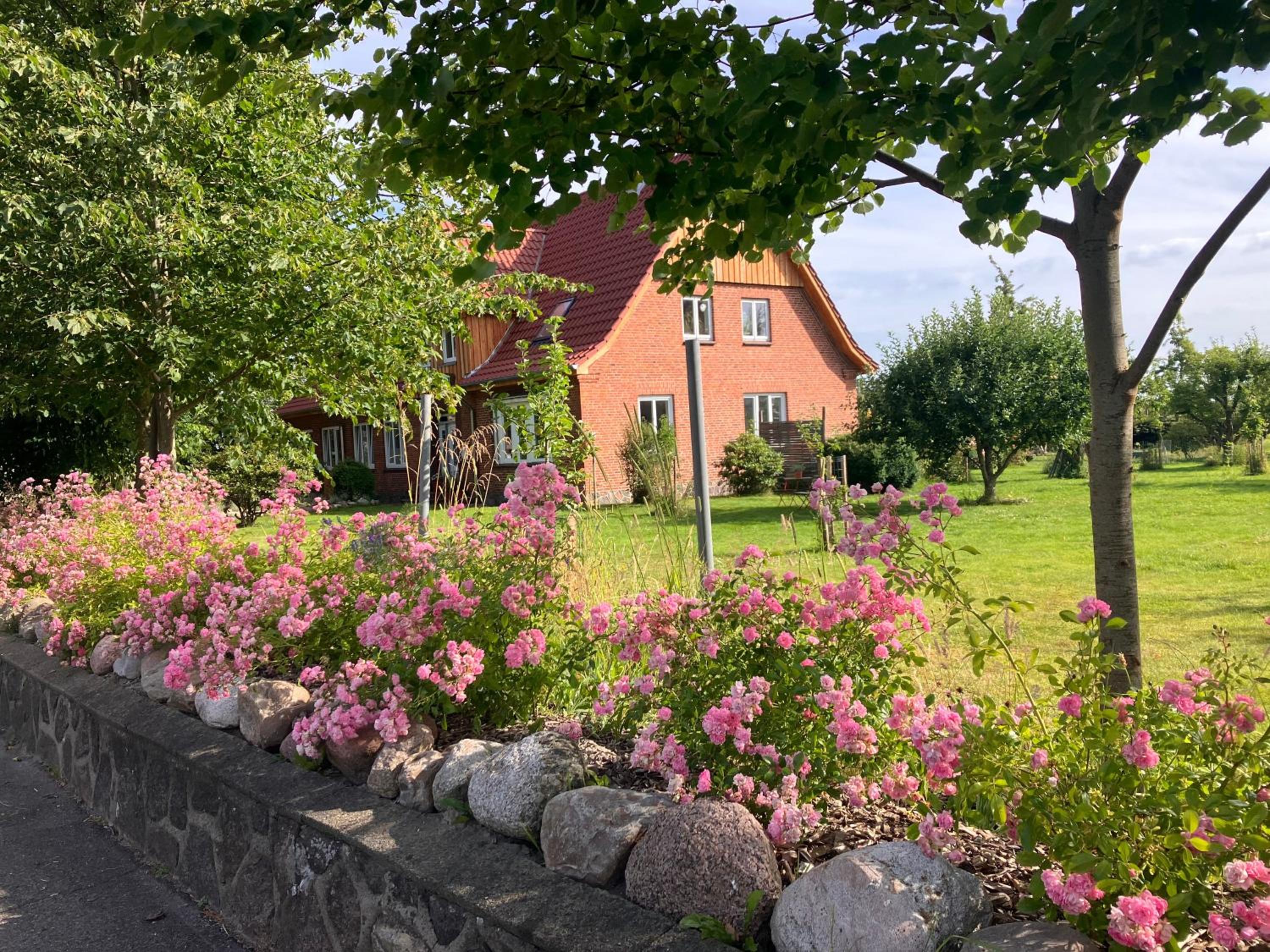 Hof Appelbue - Urlaub in zwei Ferienwohnungen im Storchendorf Bergenhusen view 4