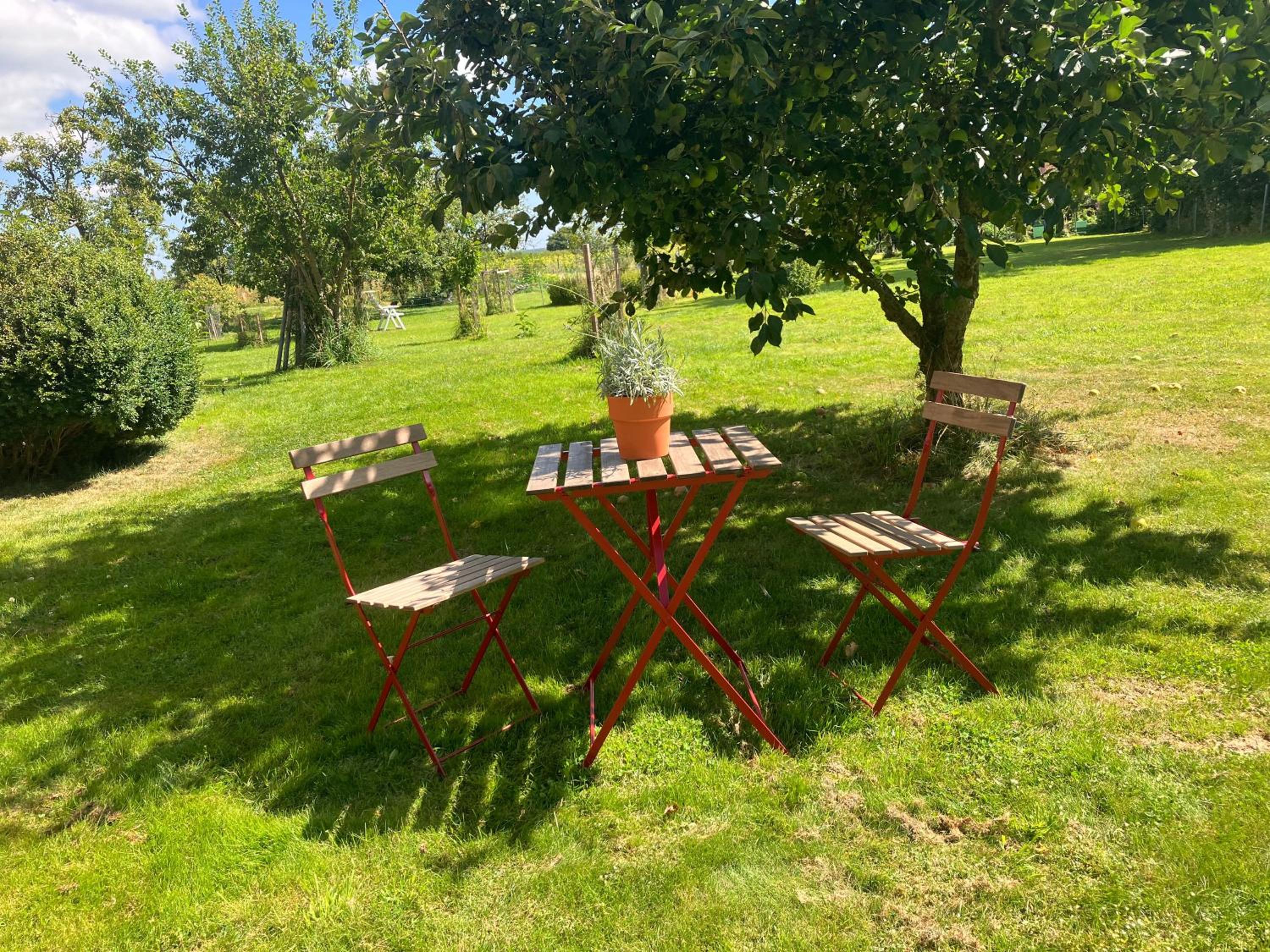 Hof Appelbue - Urlaub in zwei Ferienwohnungen im Storchendorf Bergenhusen view 2