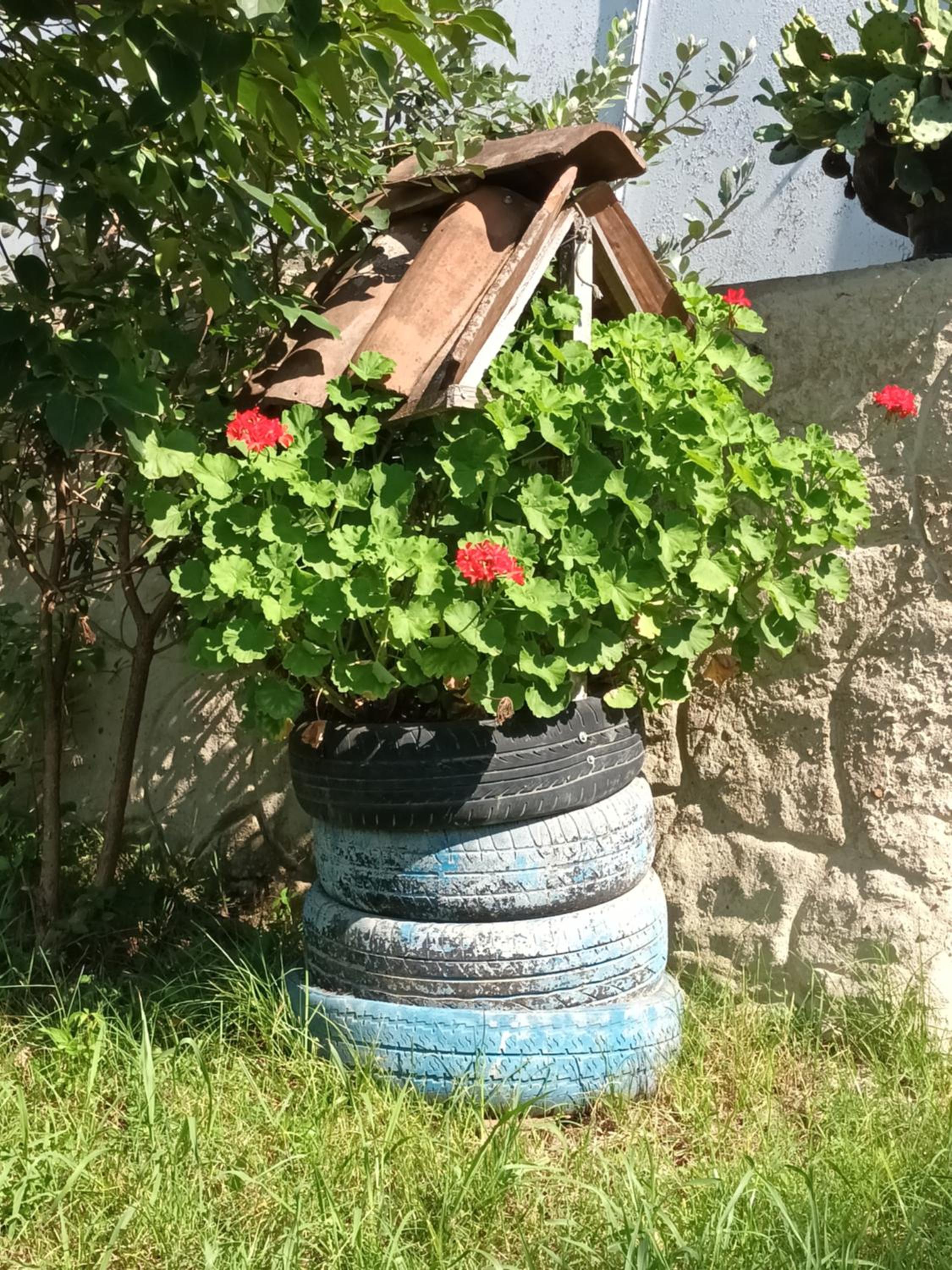 Magdan house, photo 84