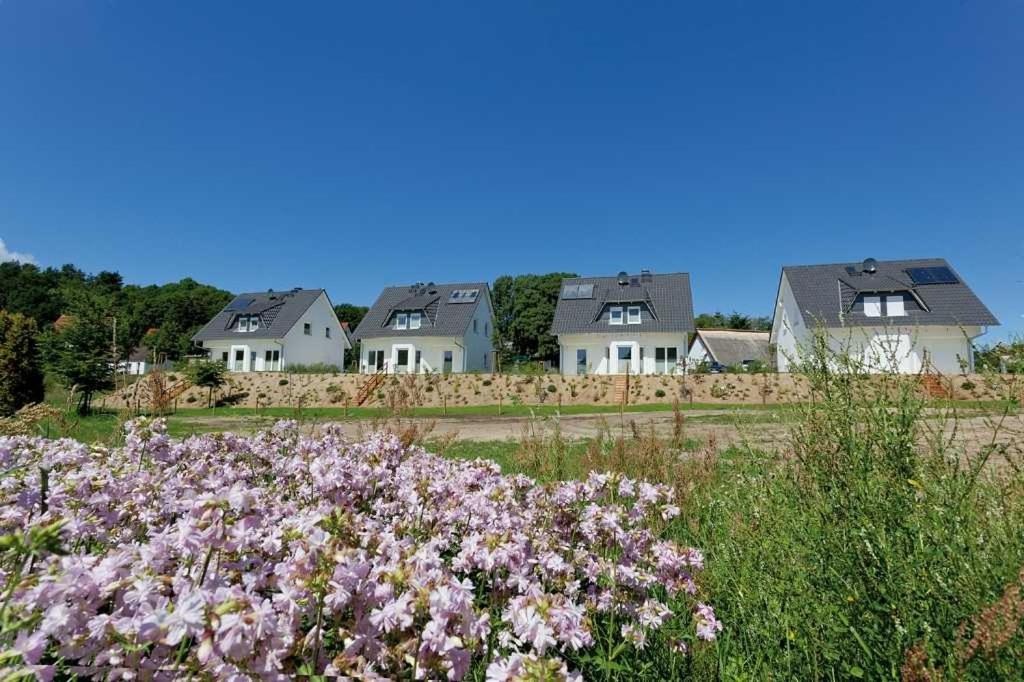 Ferienhaus Alt Sallenthin 10 A,