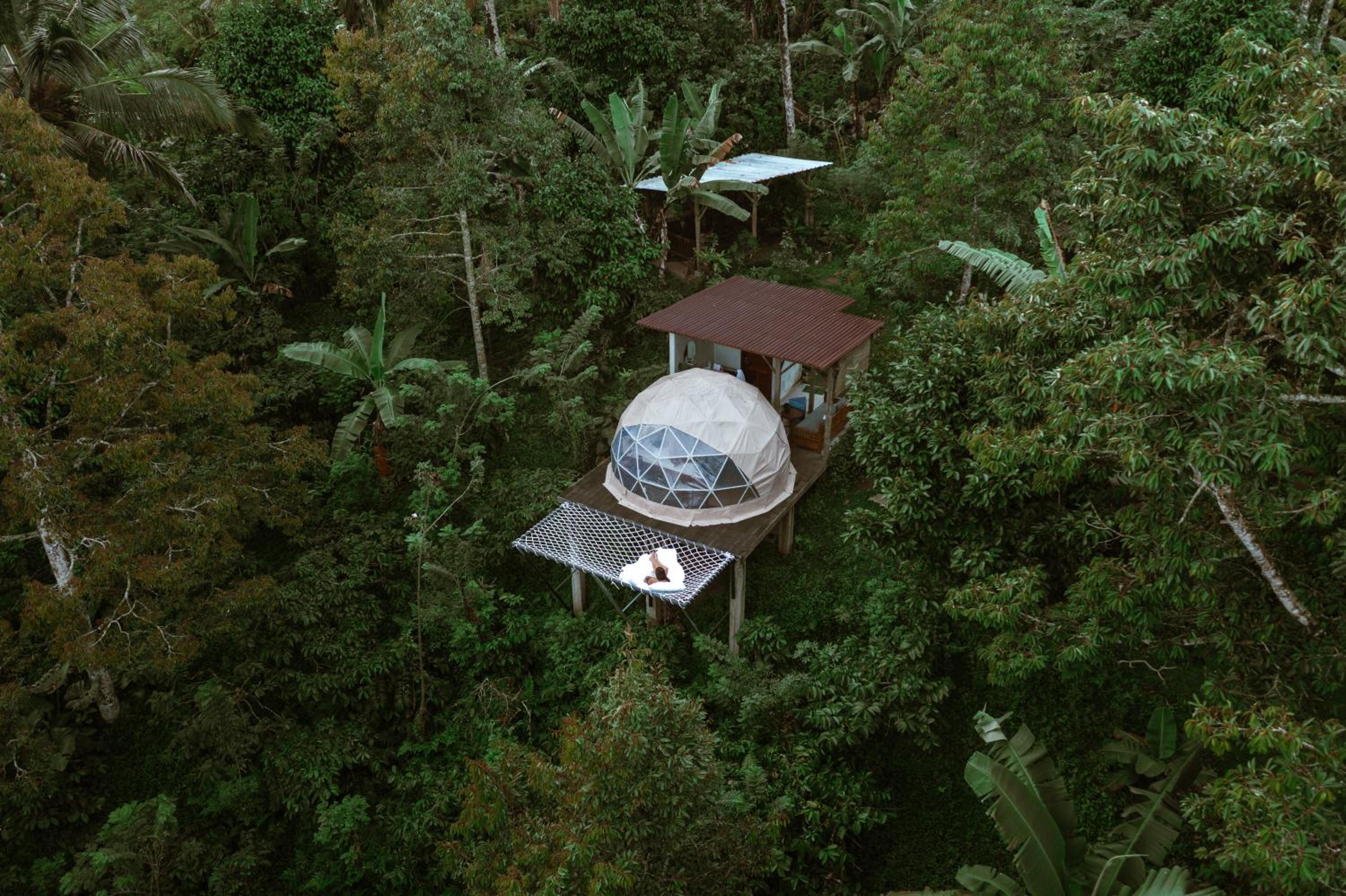 Bali Jungle Camping by Amerta Experience