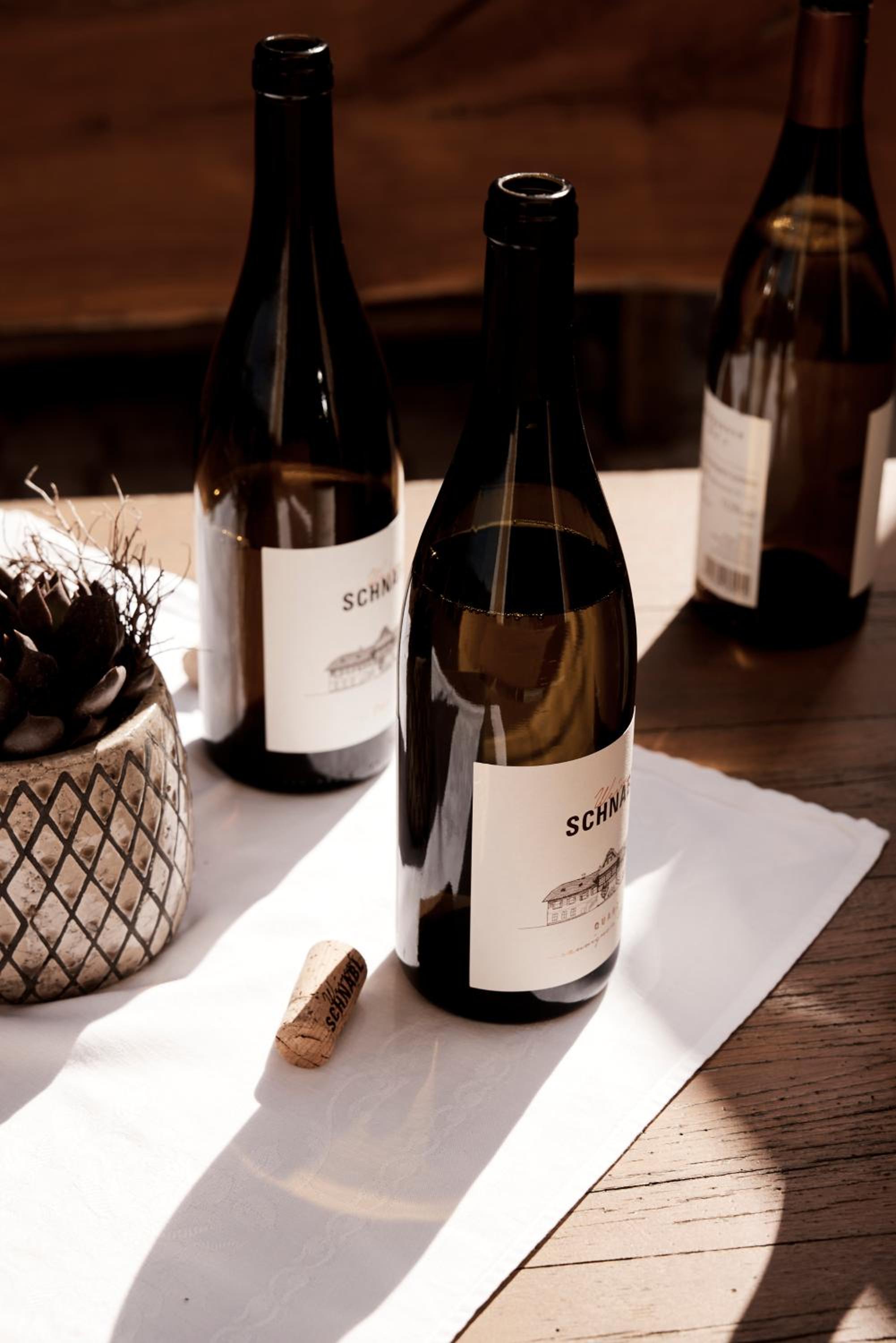 Bio Weingut Matthias Schnabl