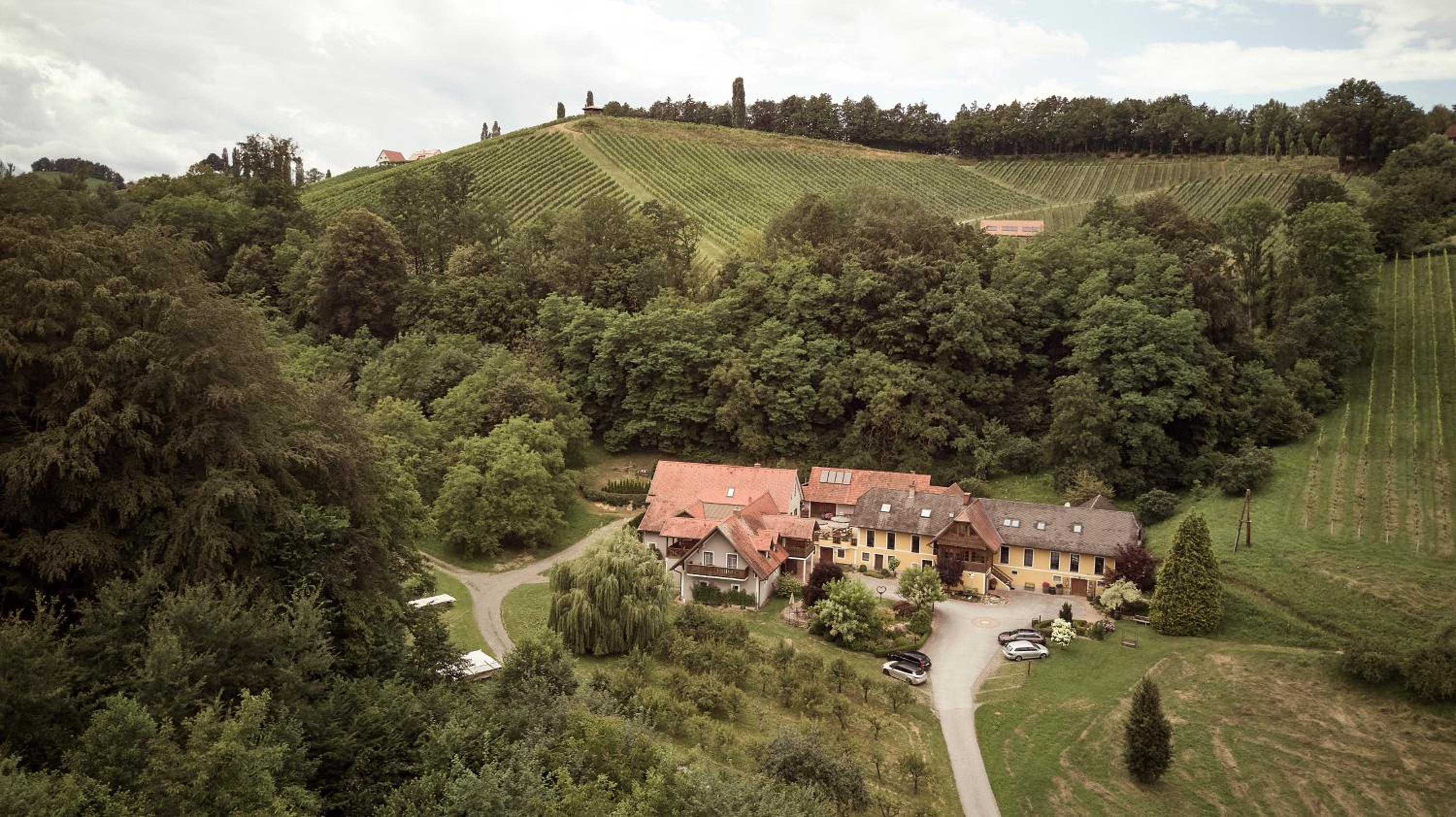Bio Weingut Matthias Schnabl