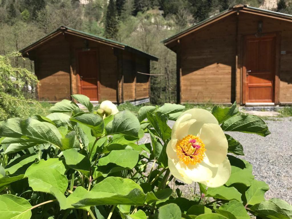 Kardelen Bungalov Evleri̇