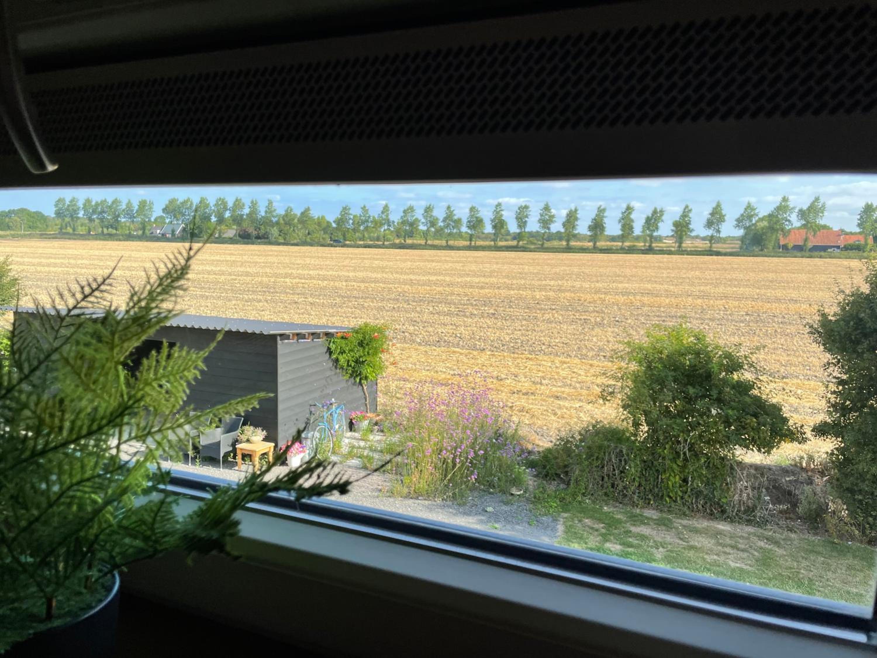 Appartement 5