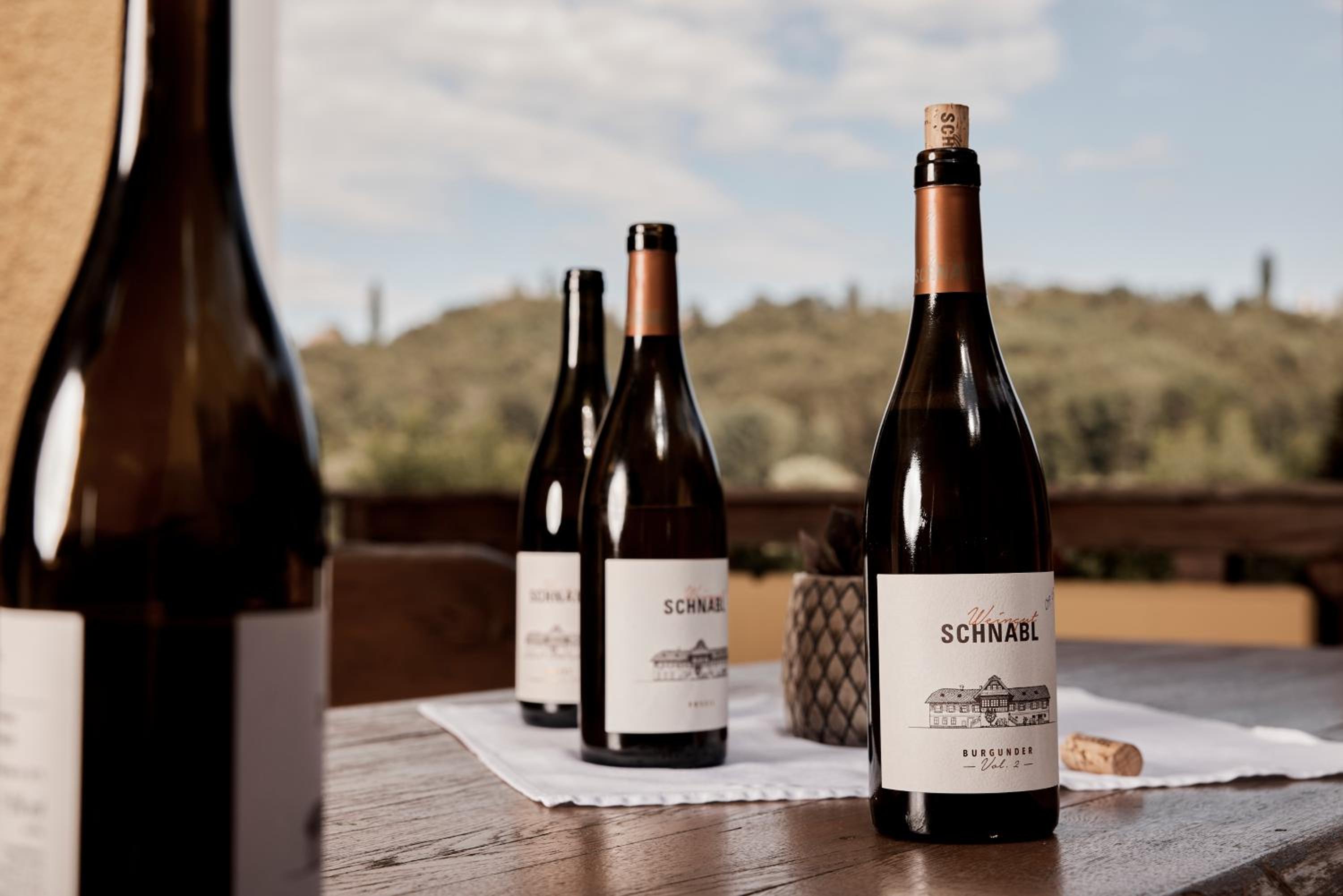 Bio Weingut Matthias Schnabl