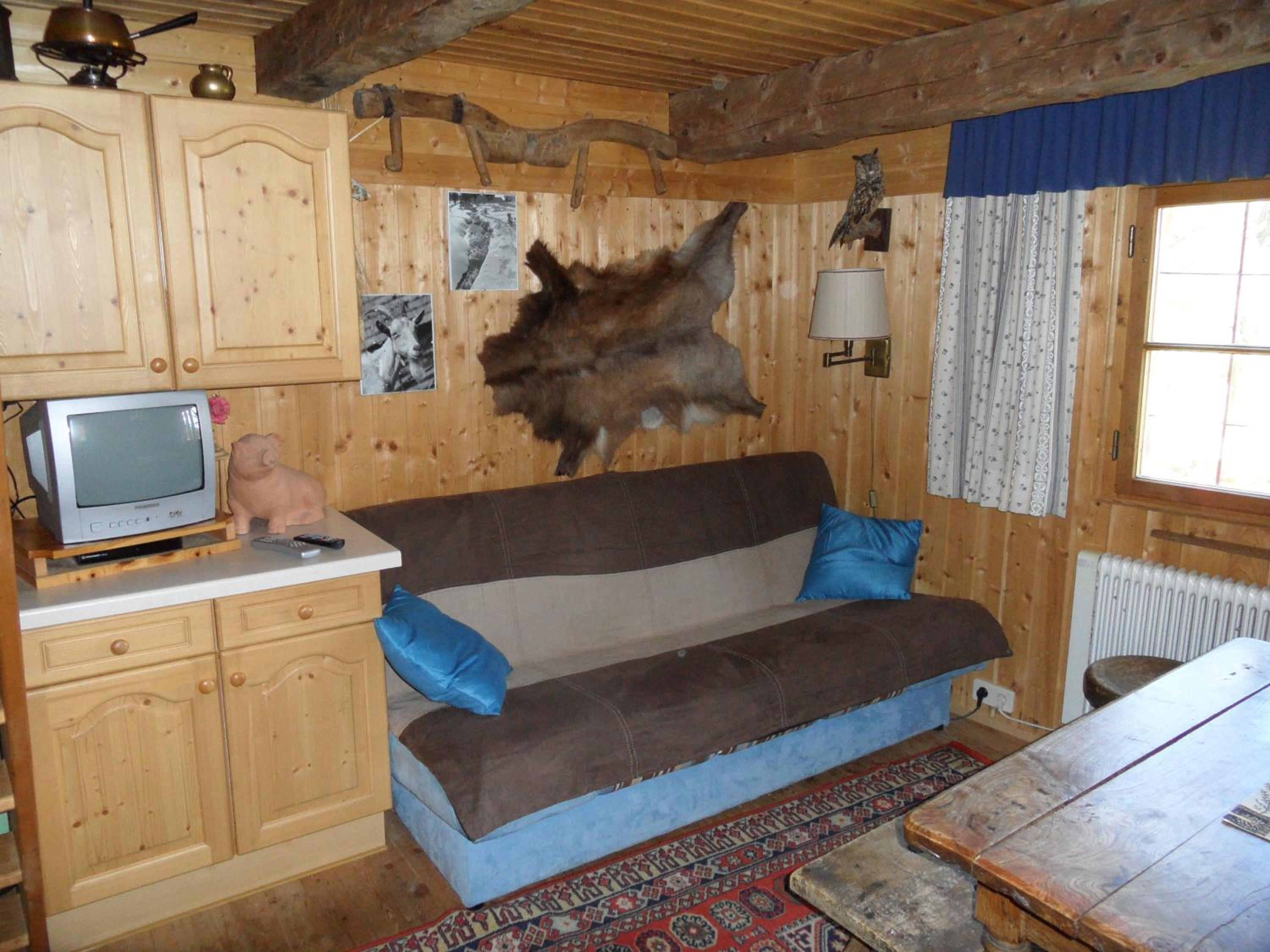 Bergheim Schmidt Ski-In Ski-Out Appartements Almhütten im Wald view 2