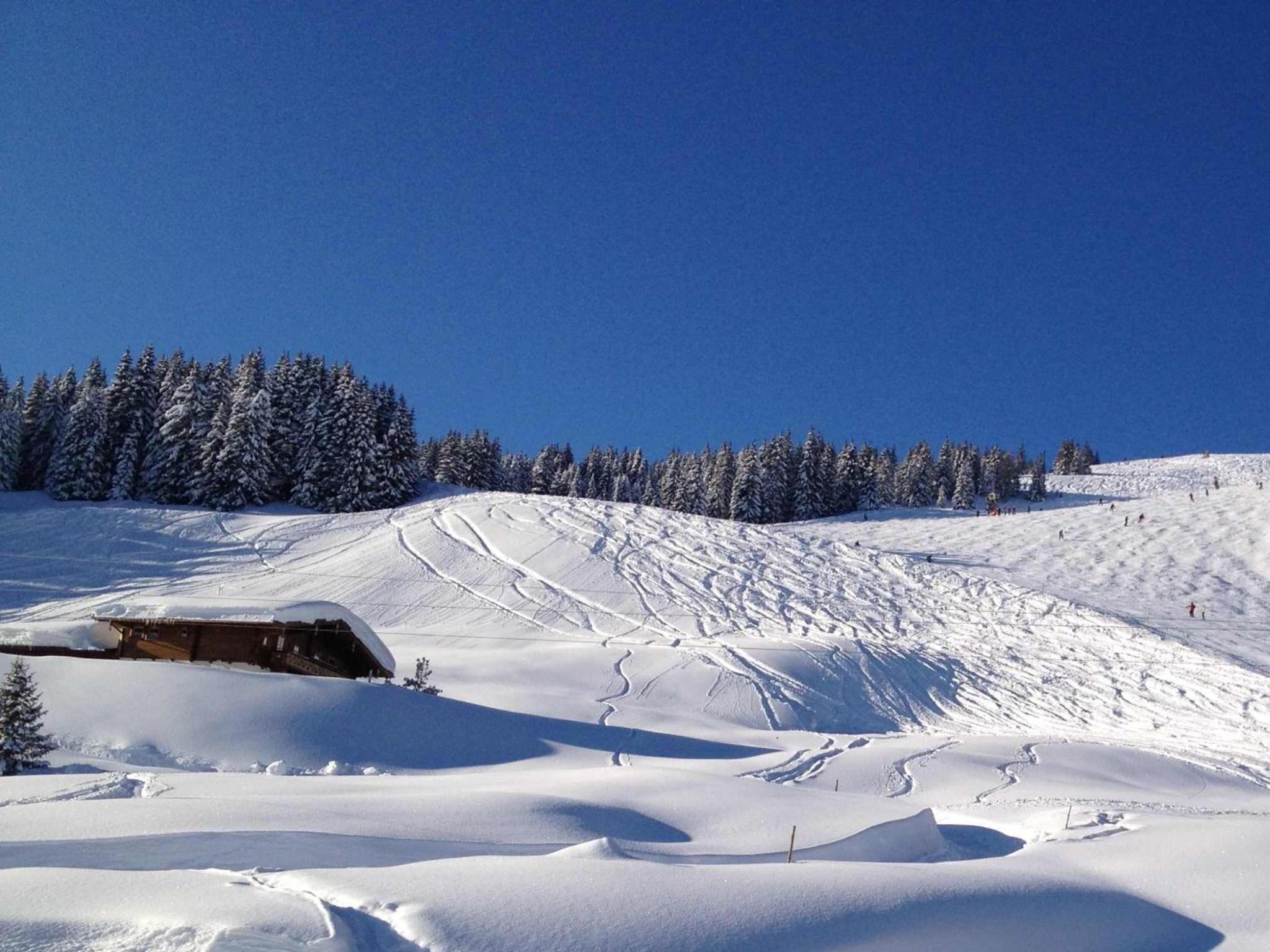 Wallegg Lodge - Alpine Premium Chalet - Ski In-Ski Out - Real Alpine Location Saalbach