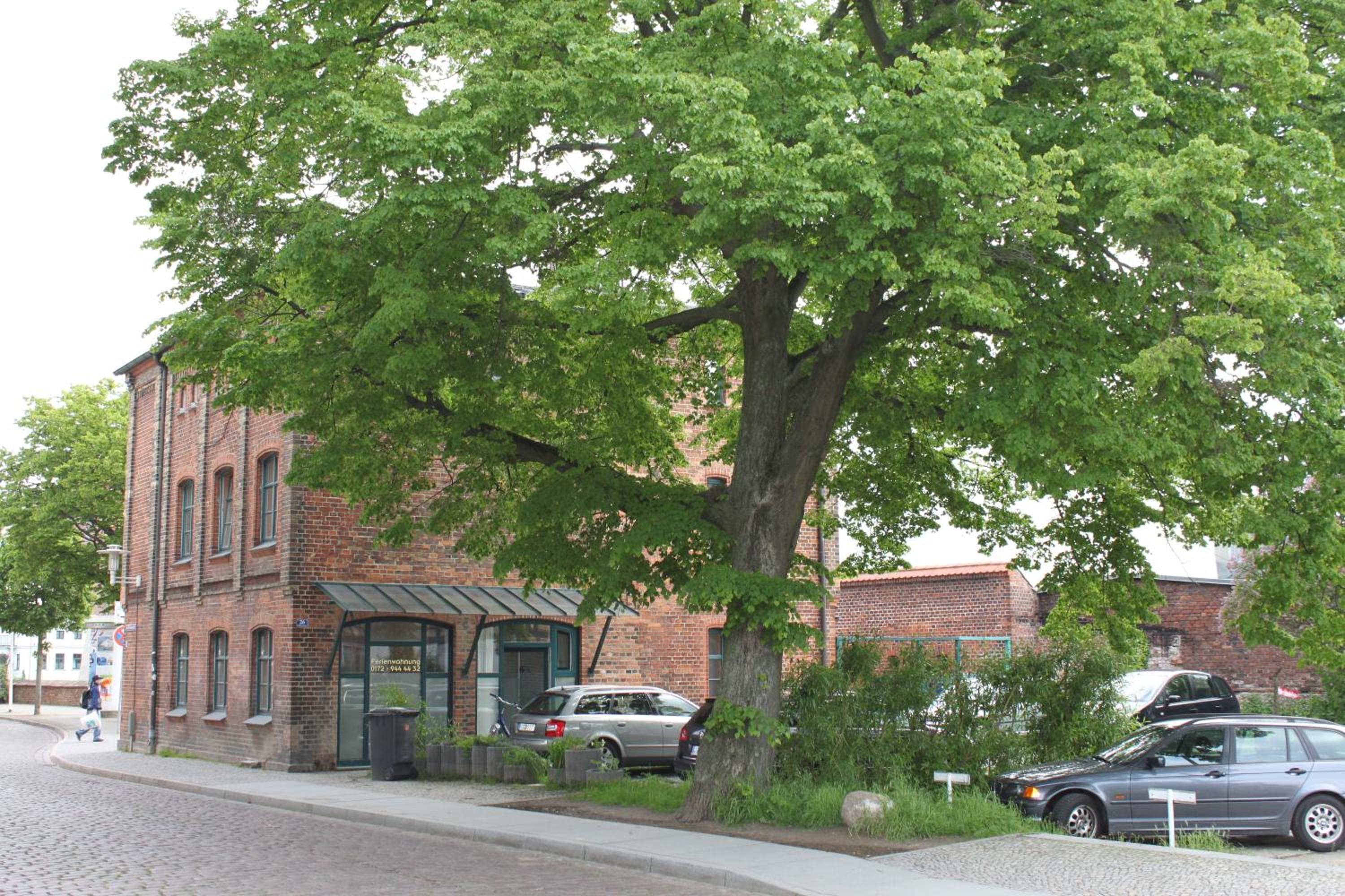 Altes Zollhaus Stralsund view 2