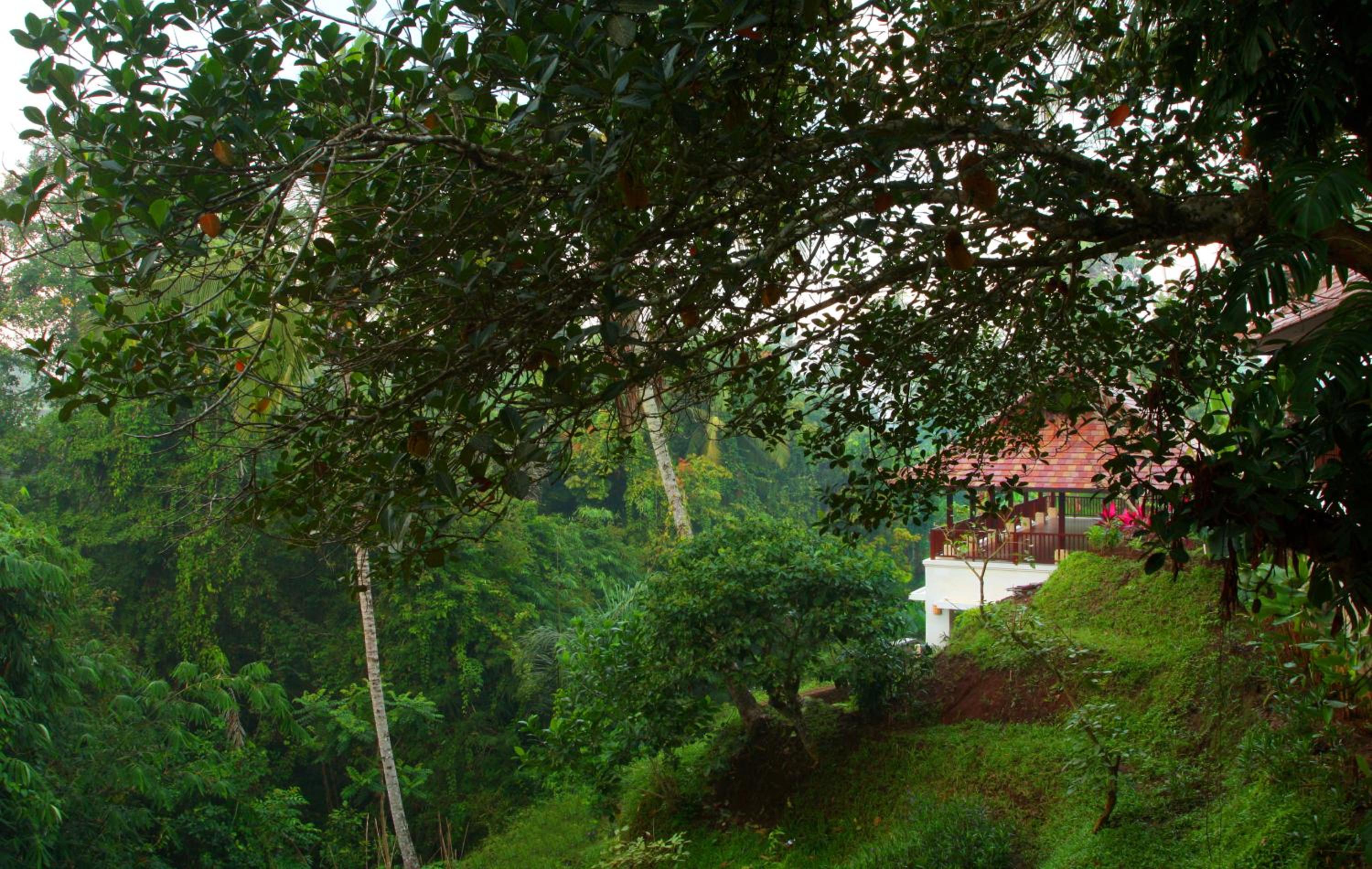 BeingSattvaa Luxury Ubud
