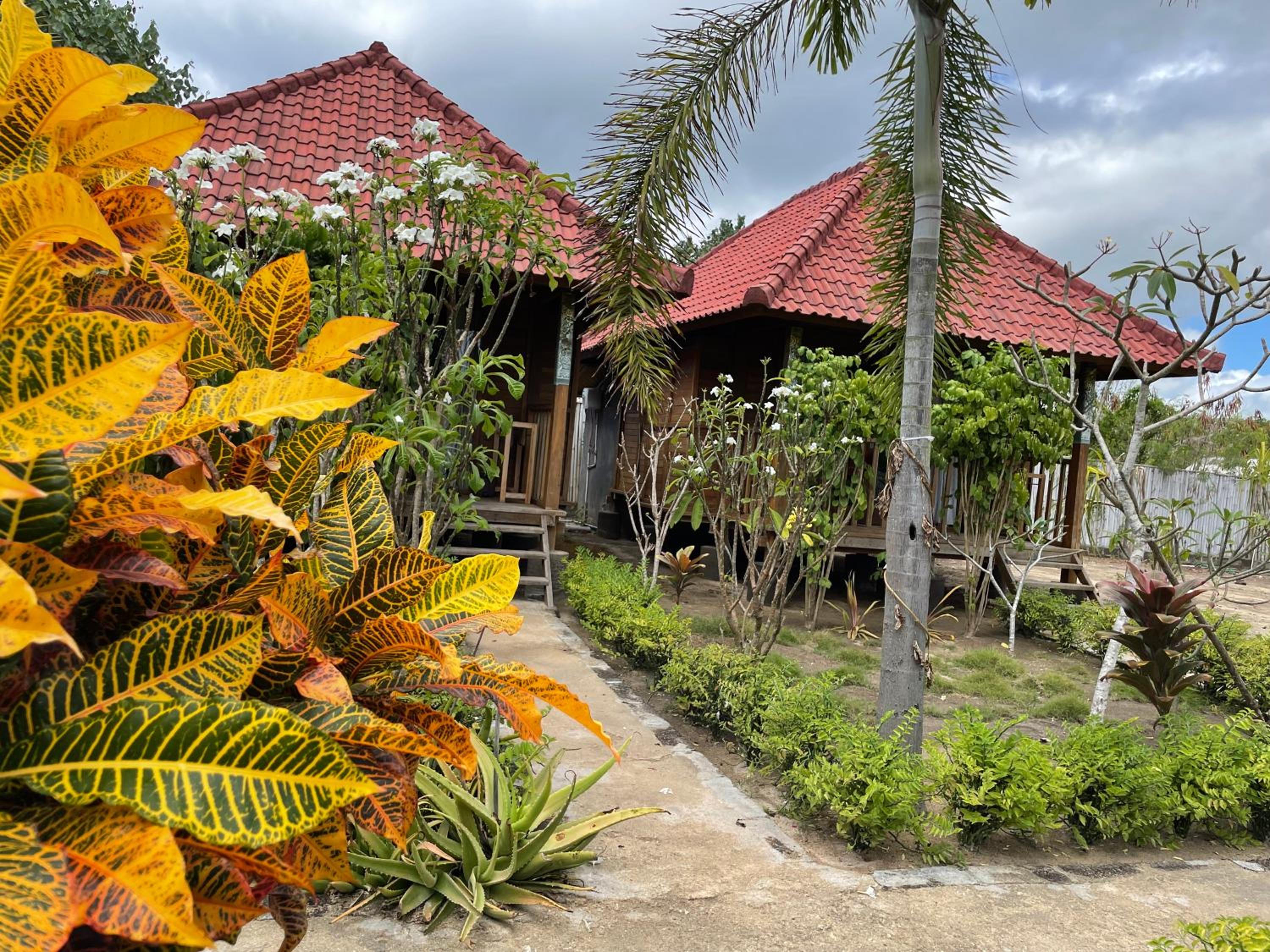 Mangrove Beach Hut