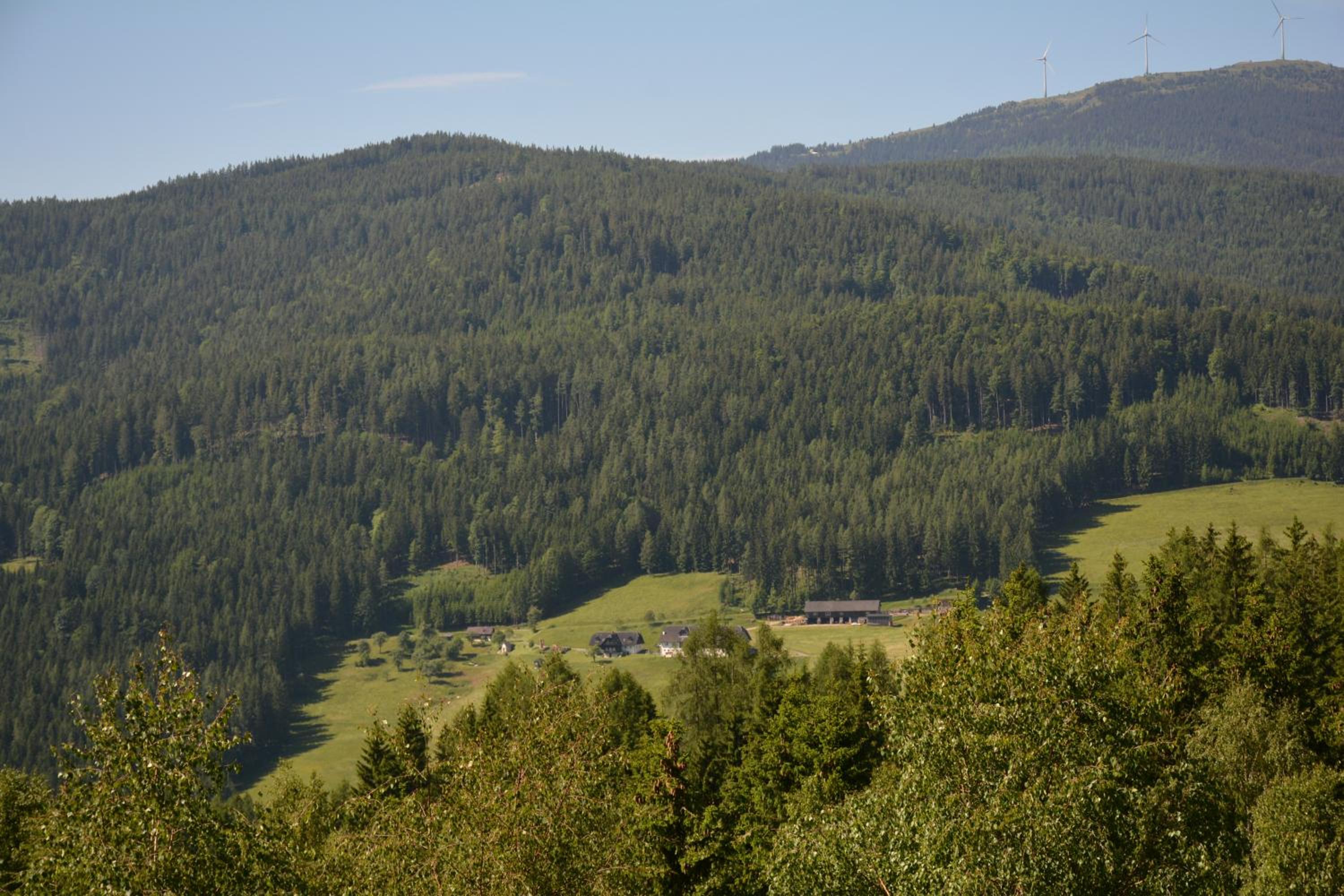 Ferienhaus Kristina/Hebalm