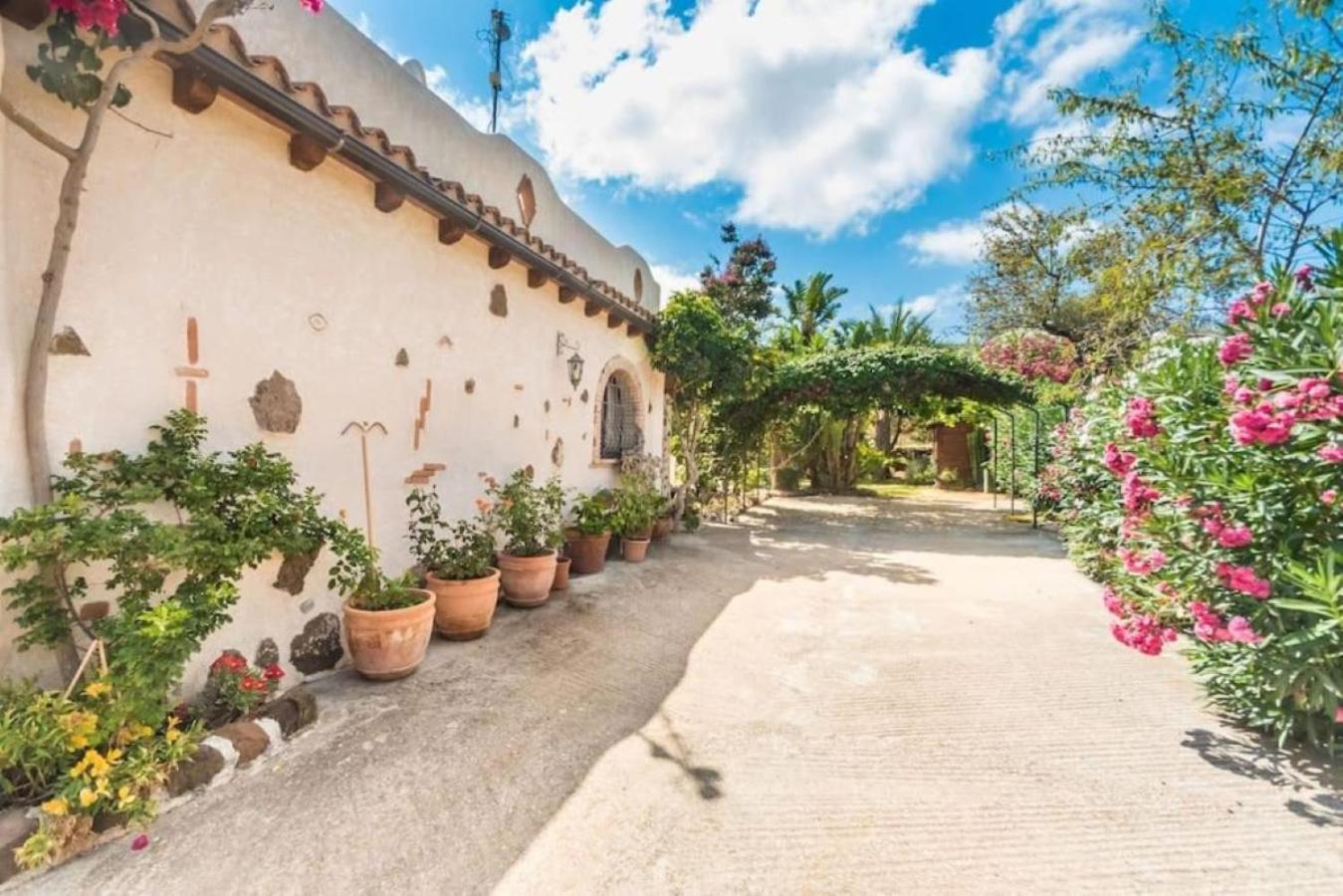 villa con immenso giardino view 5