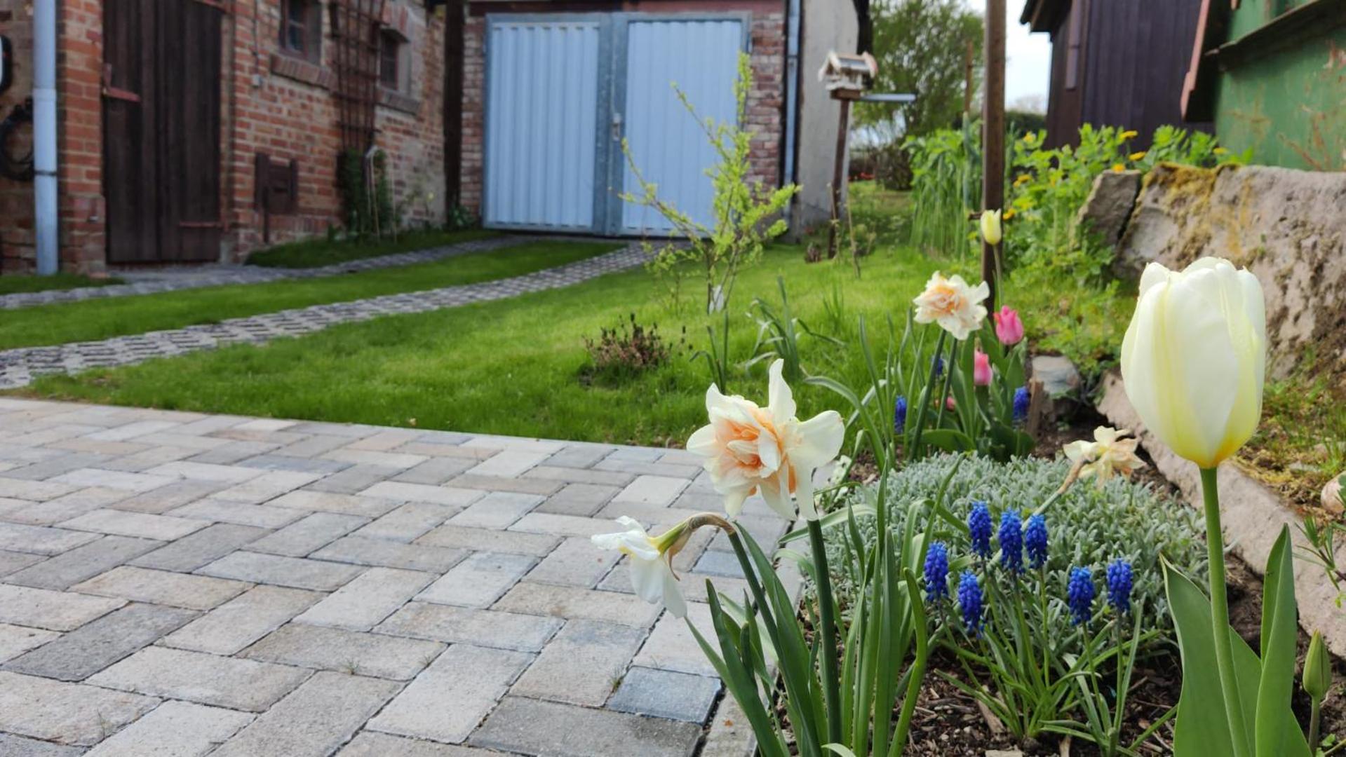 Ferienhaus Blaue Blume mit 11 kW Ladestation, Kamin, Terrasse, eingezäuntem Garten, Sauna, WLAN, Netflix, 2 Hunde willkommen!