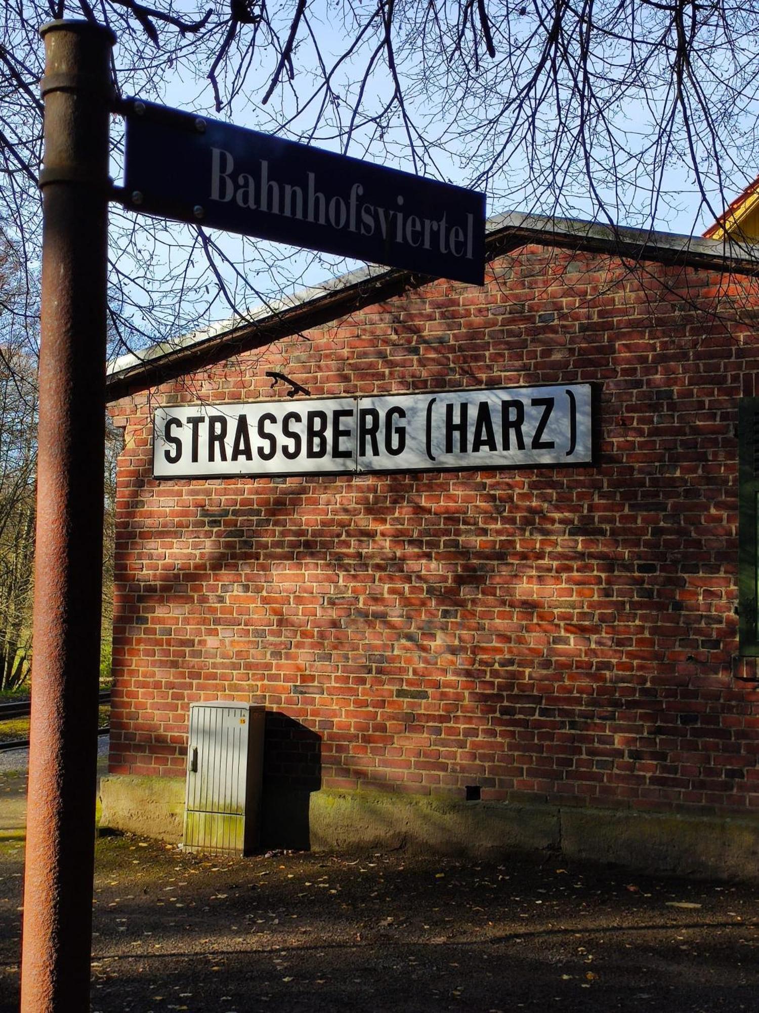 Ferienhaus Blaue Blume mit 11 kW Ladestation, Kamin, Terrasse, eingezäuntem Garten, Sauna, WLAN, Netflix, 2 Hunde willkommen!