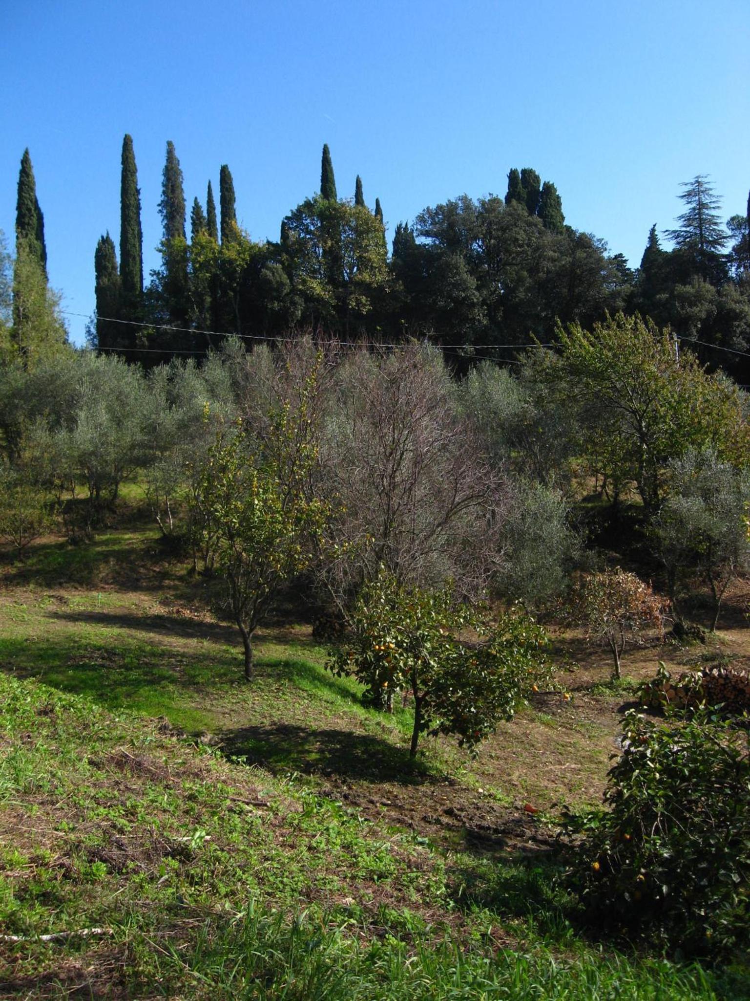 Alloggi in Villa storica