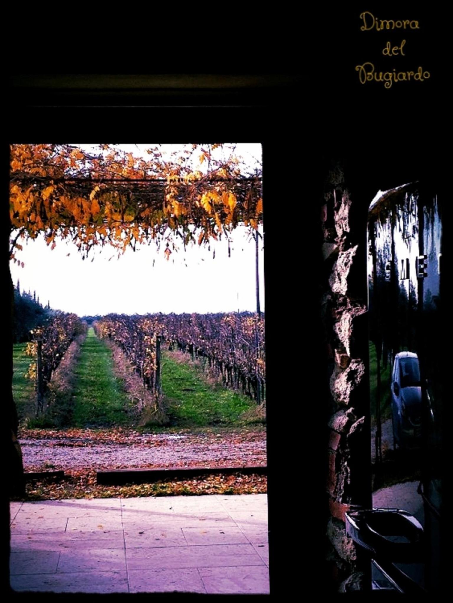 Dimora Buglioni Wine Relais, photo 102