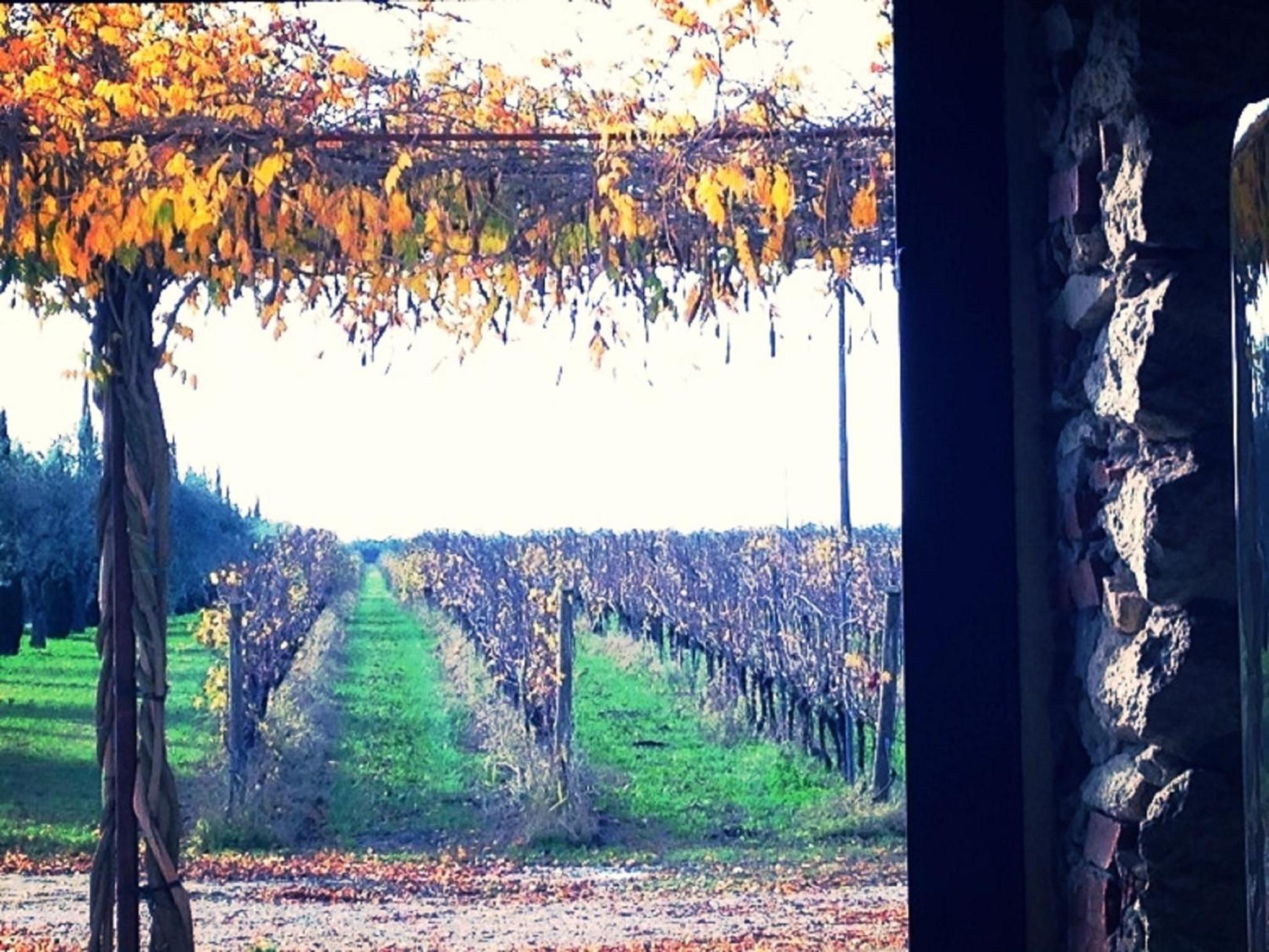 Dimora Buglioni Wine Relais, photo 11
