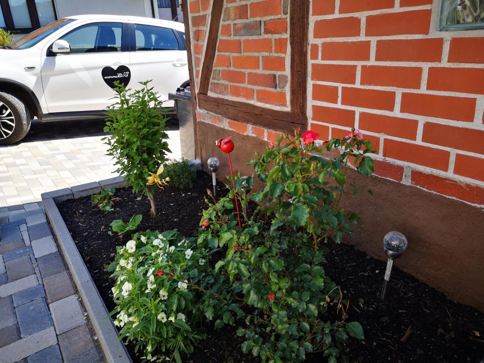 Ferienhaus Blaue Blume mit 11 kW Ladestation, Kamin, Terrasse, eingezäuntem Garten, Sauna, WLAN, Netflix, 2 Hunde willkommen!