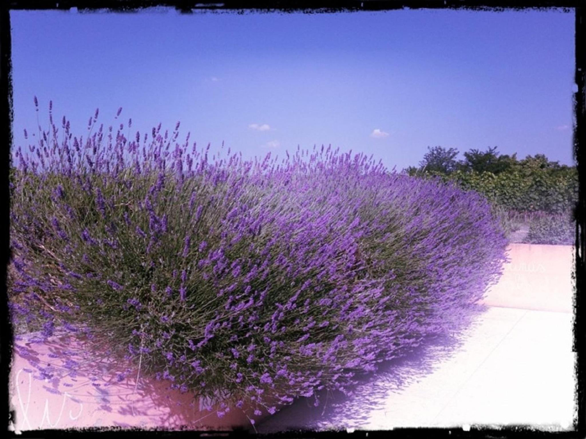 Dimora Buglioni Wine Relais, photo 97
