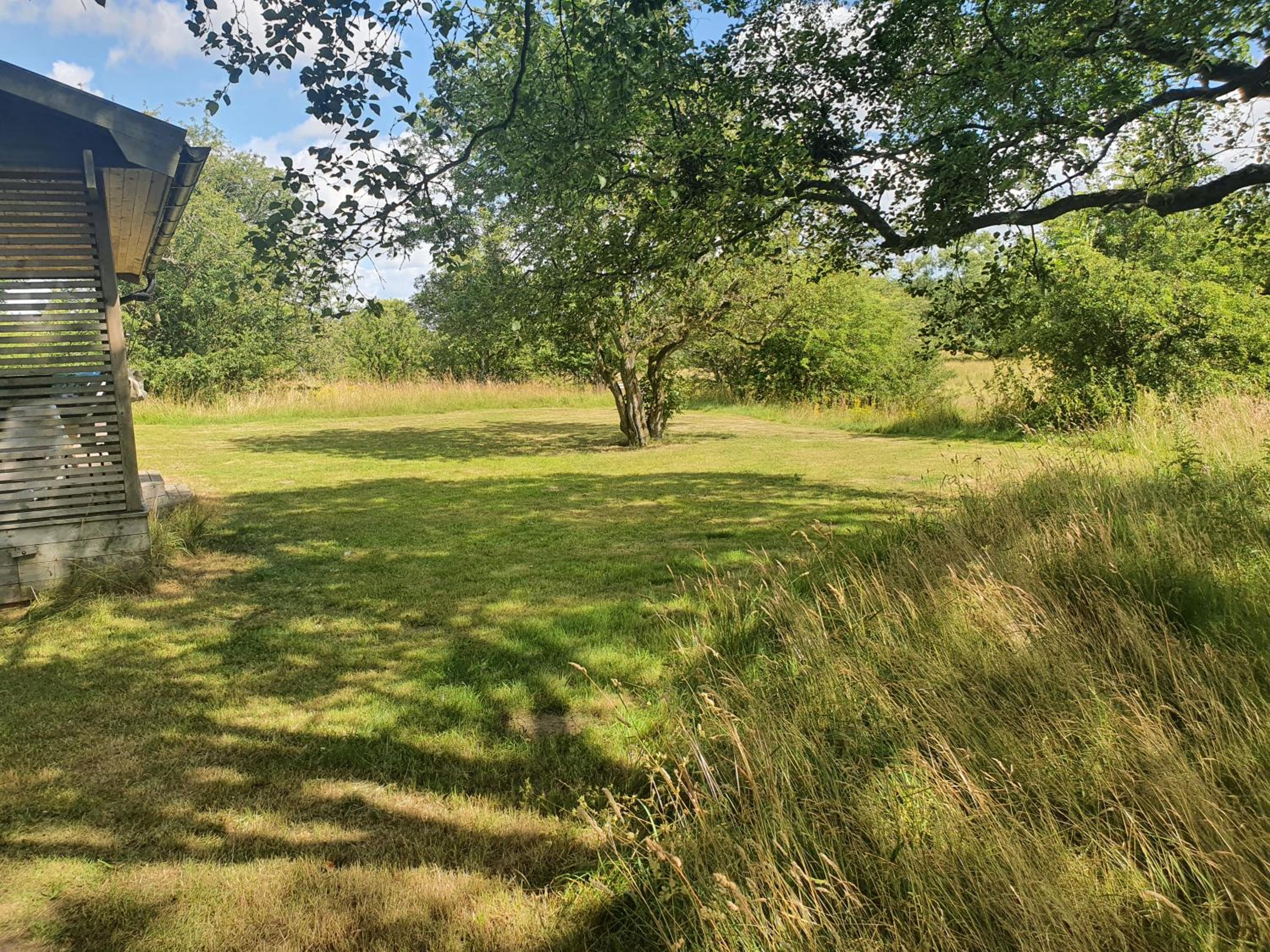 Photo 45