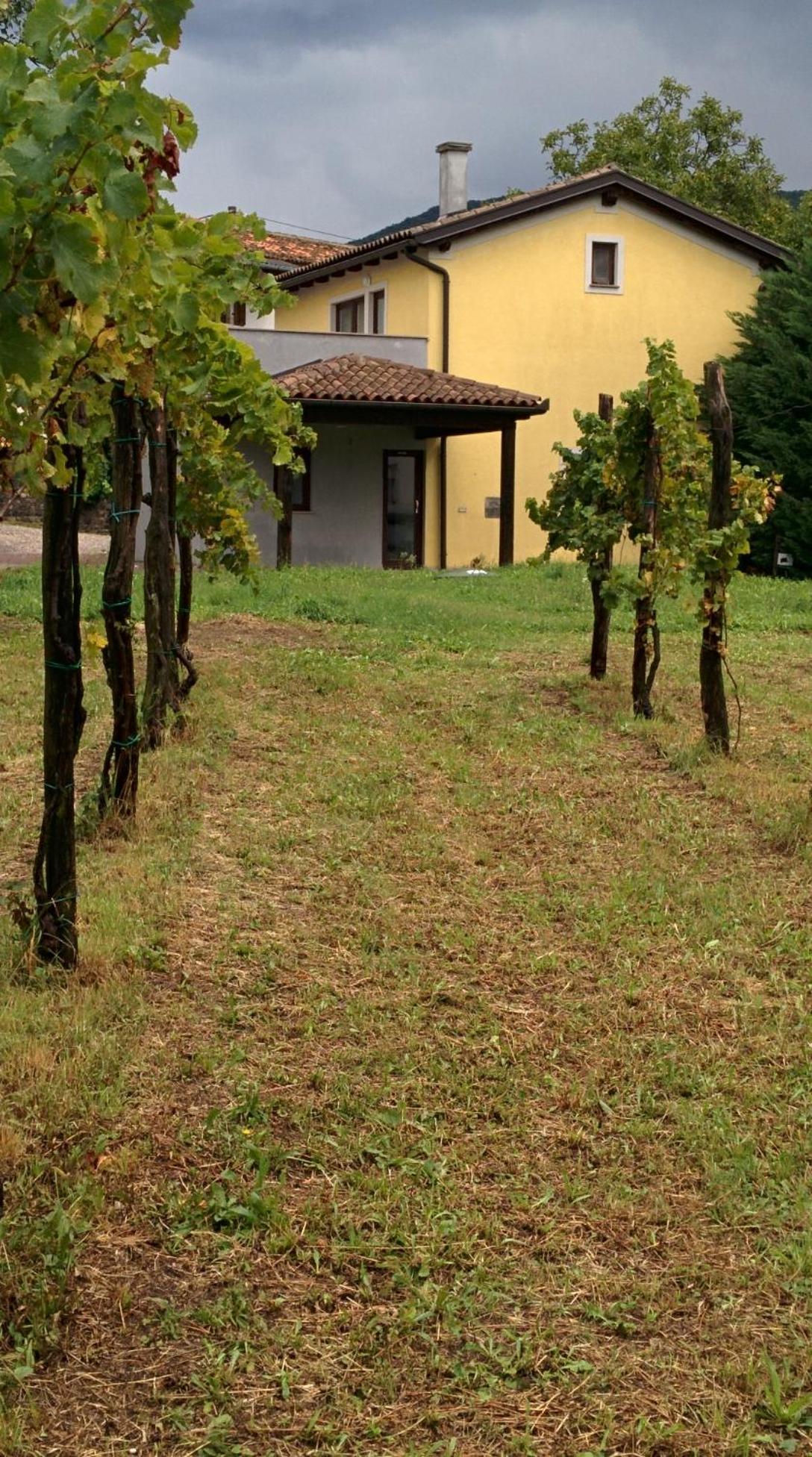 Small house in Vipava valley, photo 24