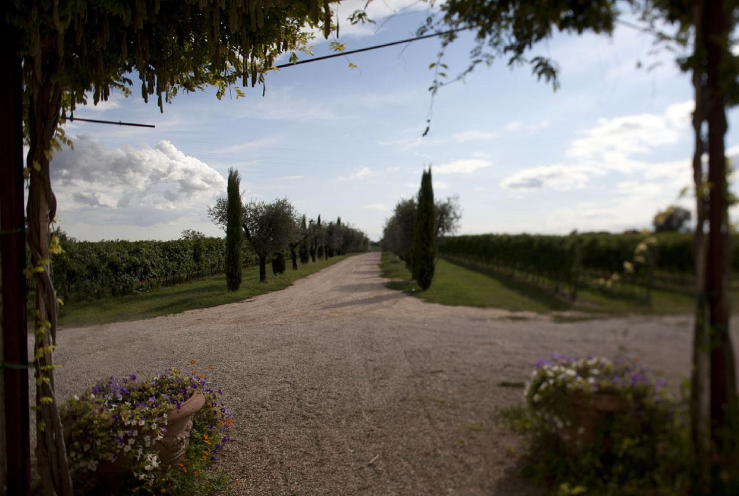 Dimora Buglioni Wine Relais, photo 22