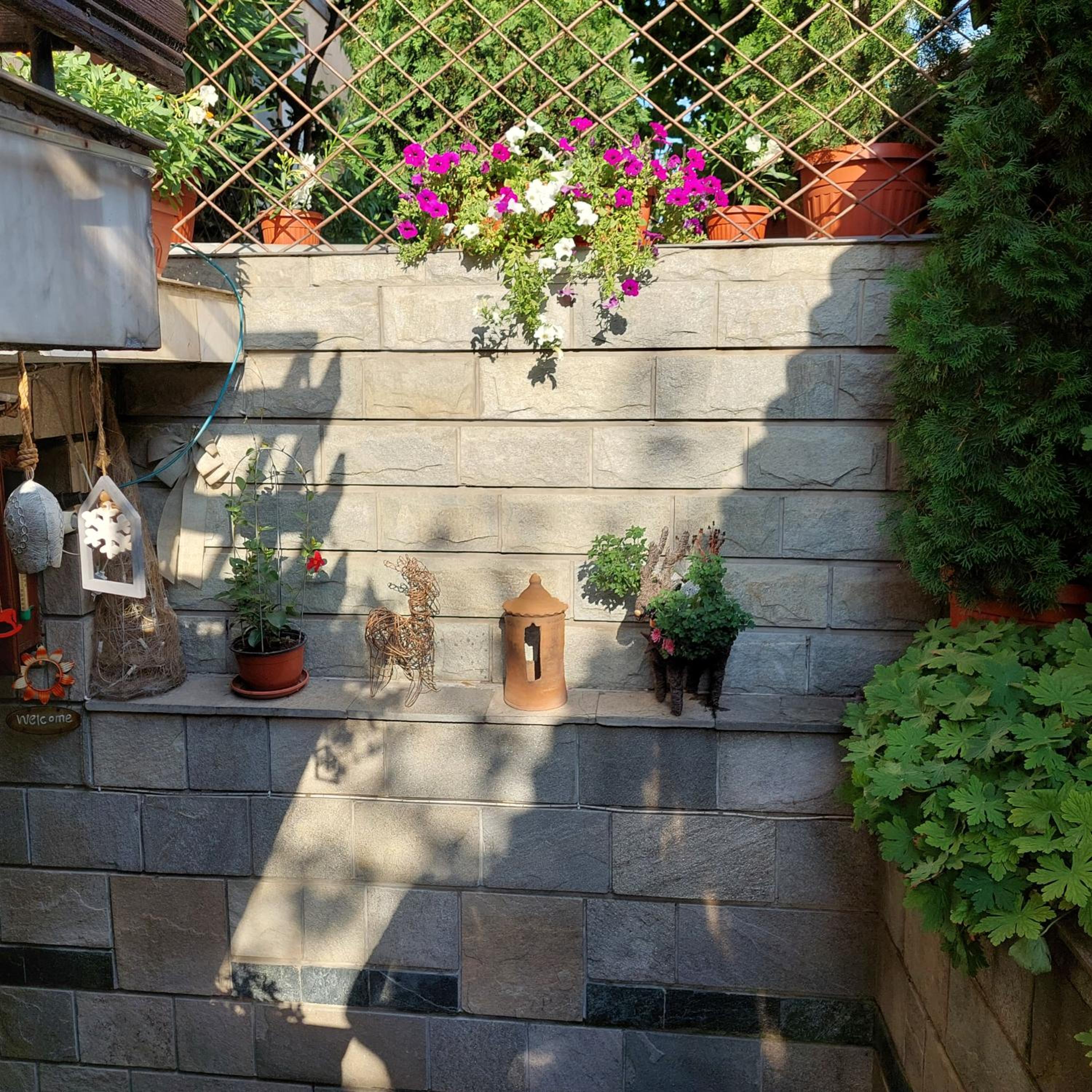 Guest House Planinski Zdravets