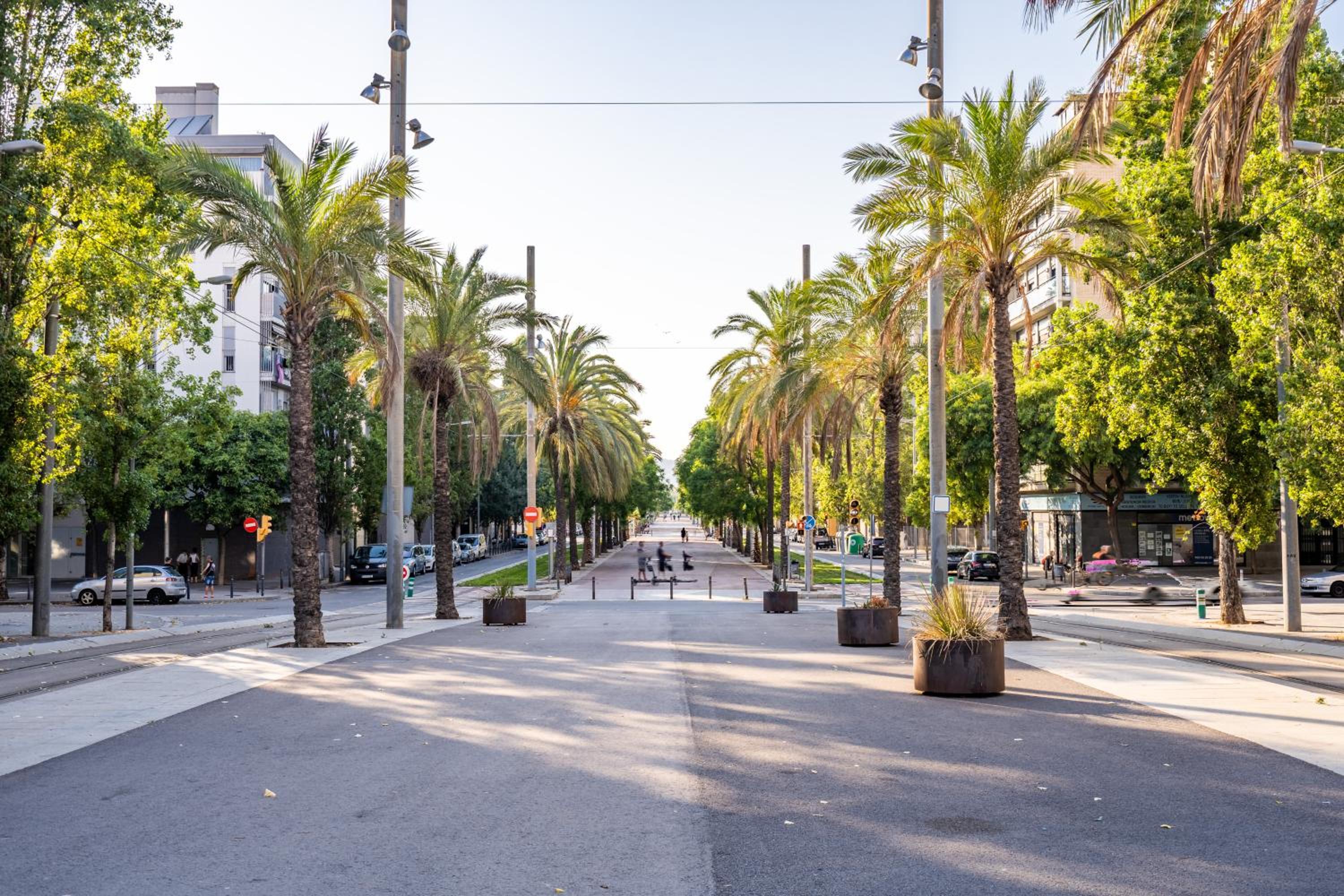 Lodging Apartments Forum Llull