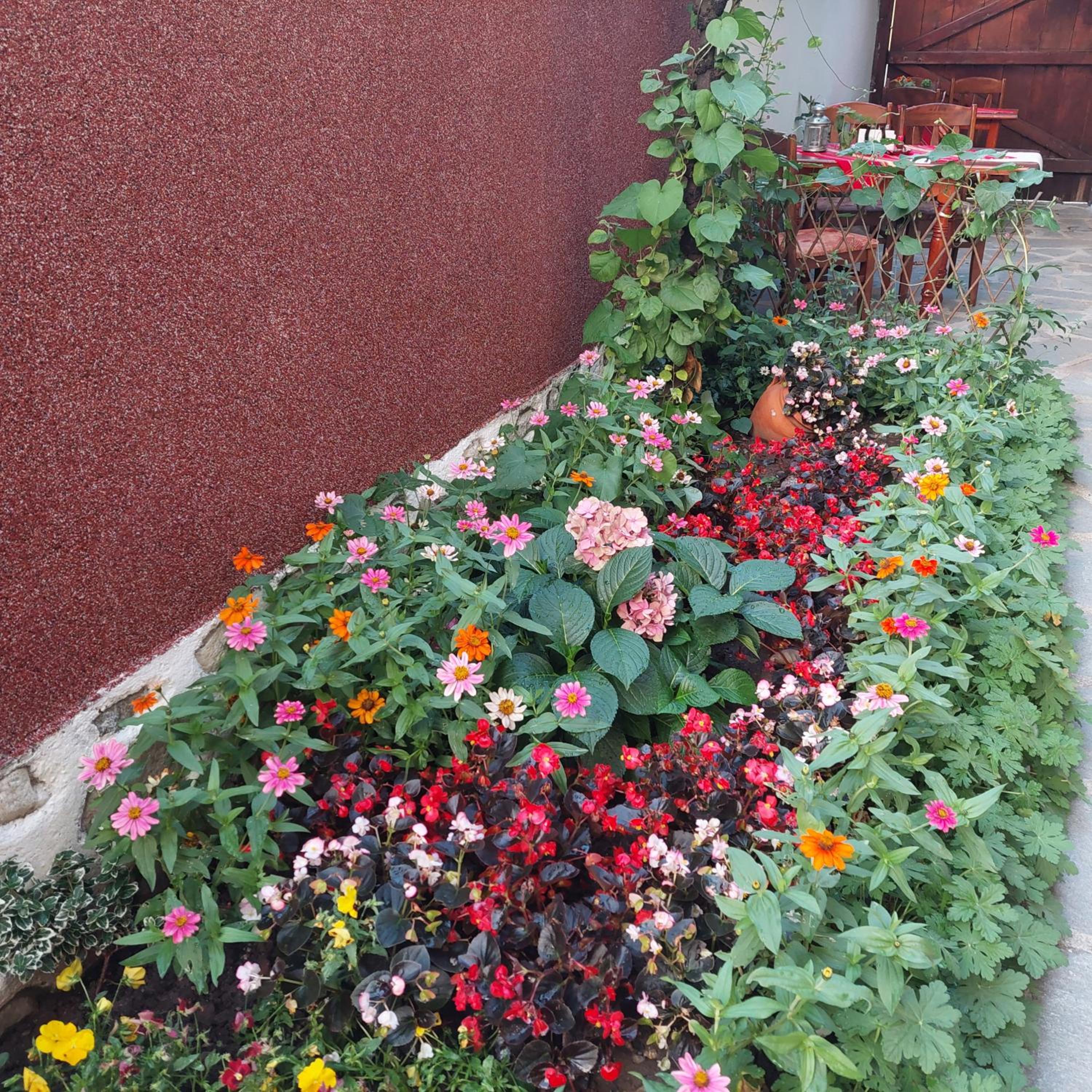 Guest House Planinski Zdravets