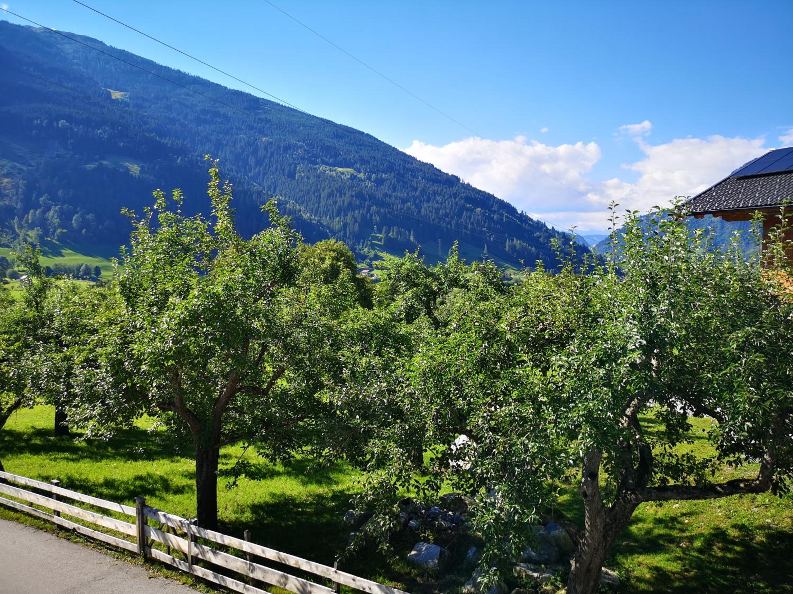Pension Schlager Taxerhof