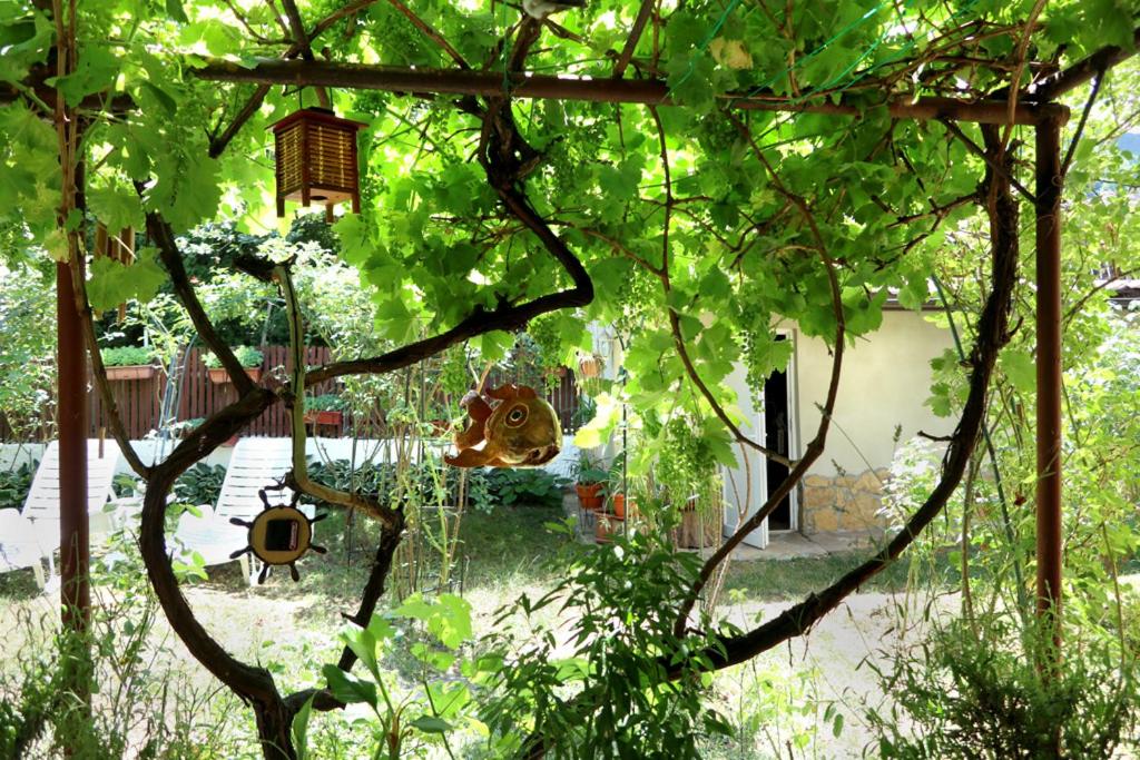 Modern&Cozy Bosnian house with GARDEN+FREE parking