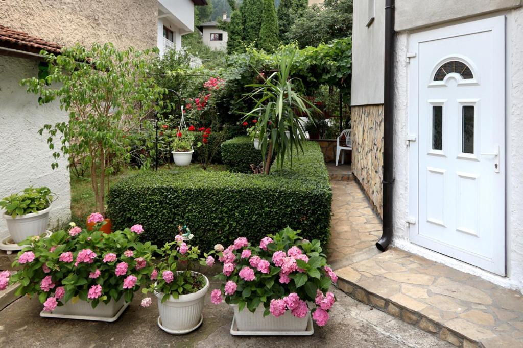 Modern&Cozy Bosnian house with GARDEN+FREE parking