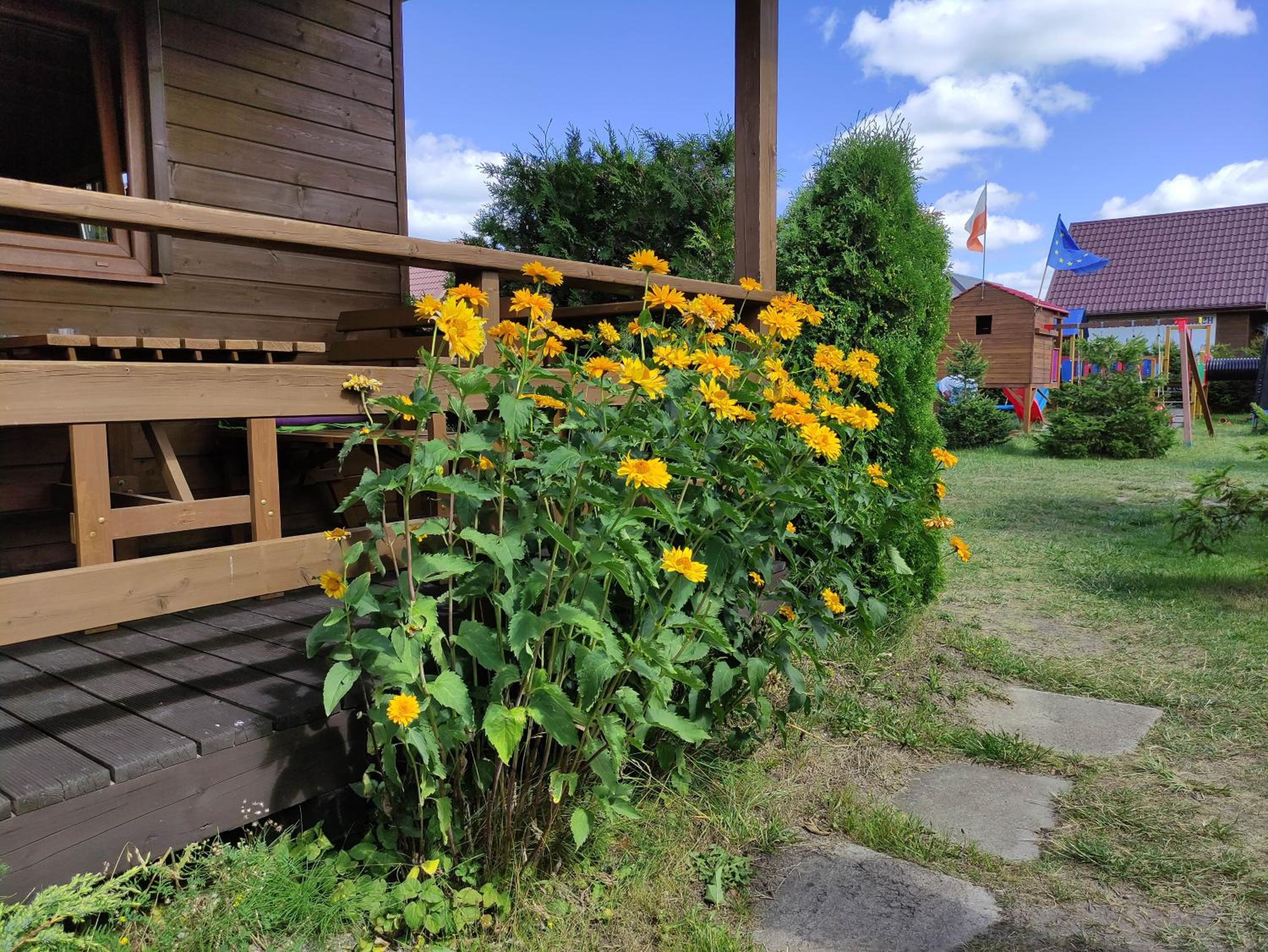 Photo 43