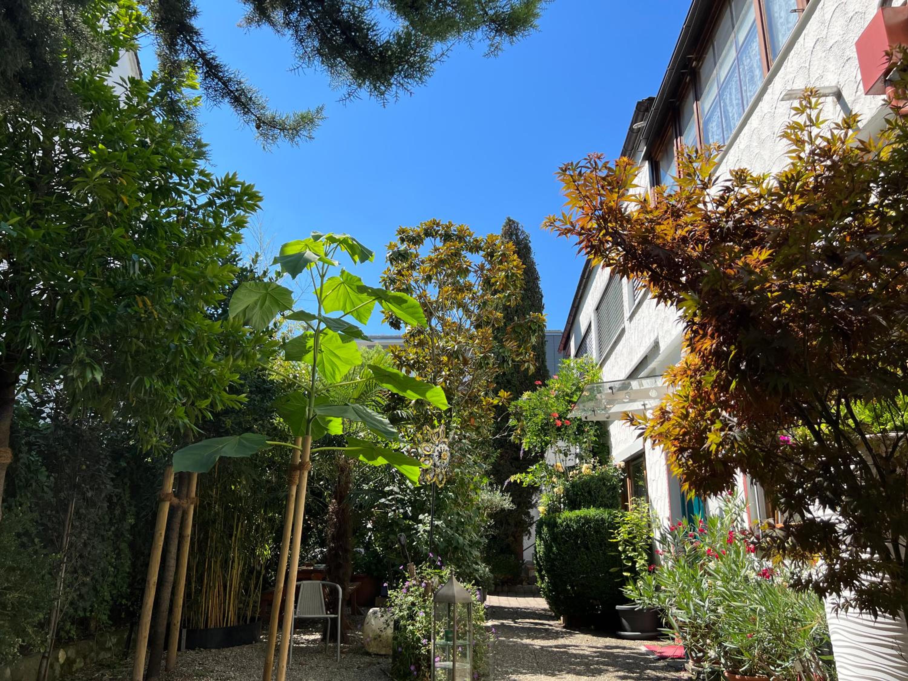 Haus Pia Executive Suites