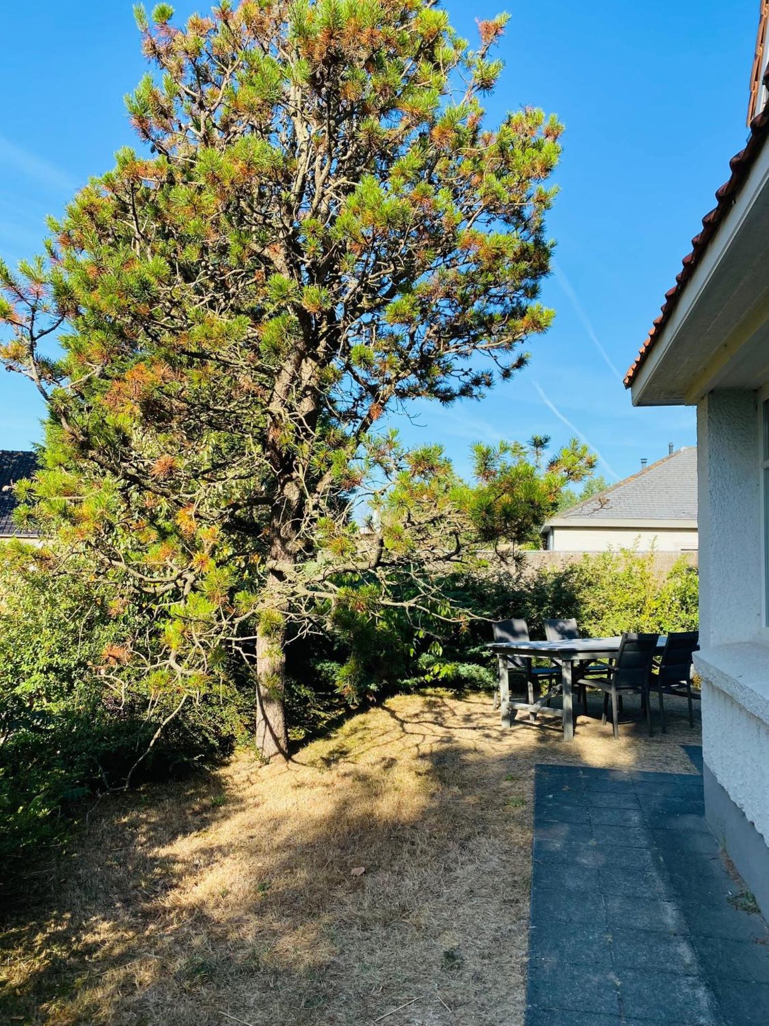 Vakantiehuis Strandpieper